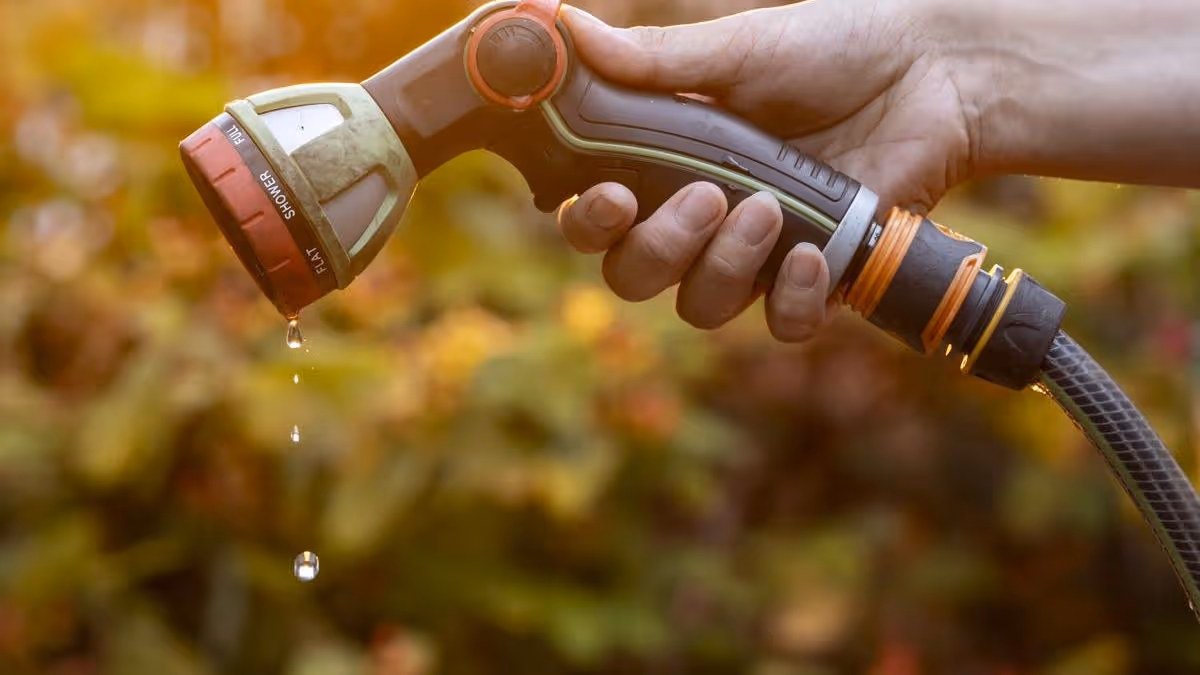 Ireland Implements Hosepipe Ban Due to Water Shortage