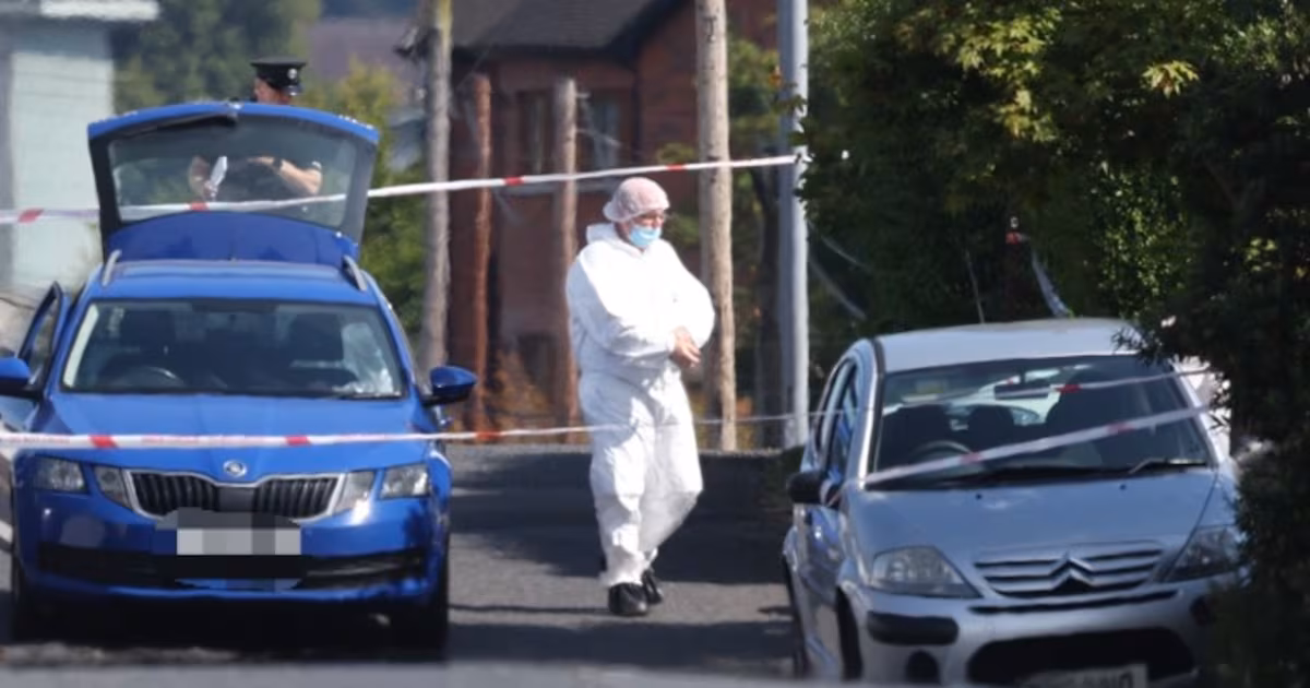 Murder investigation launched in Ballymena after three deaths