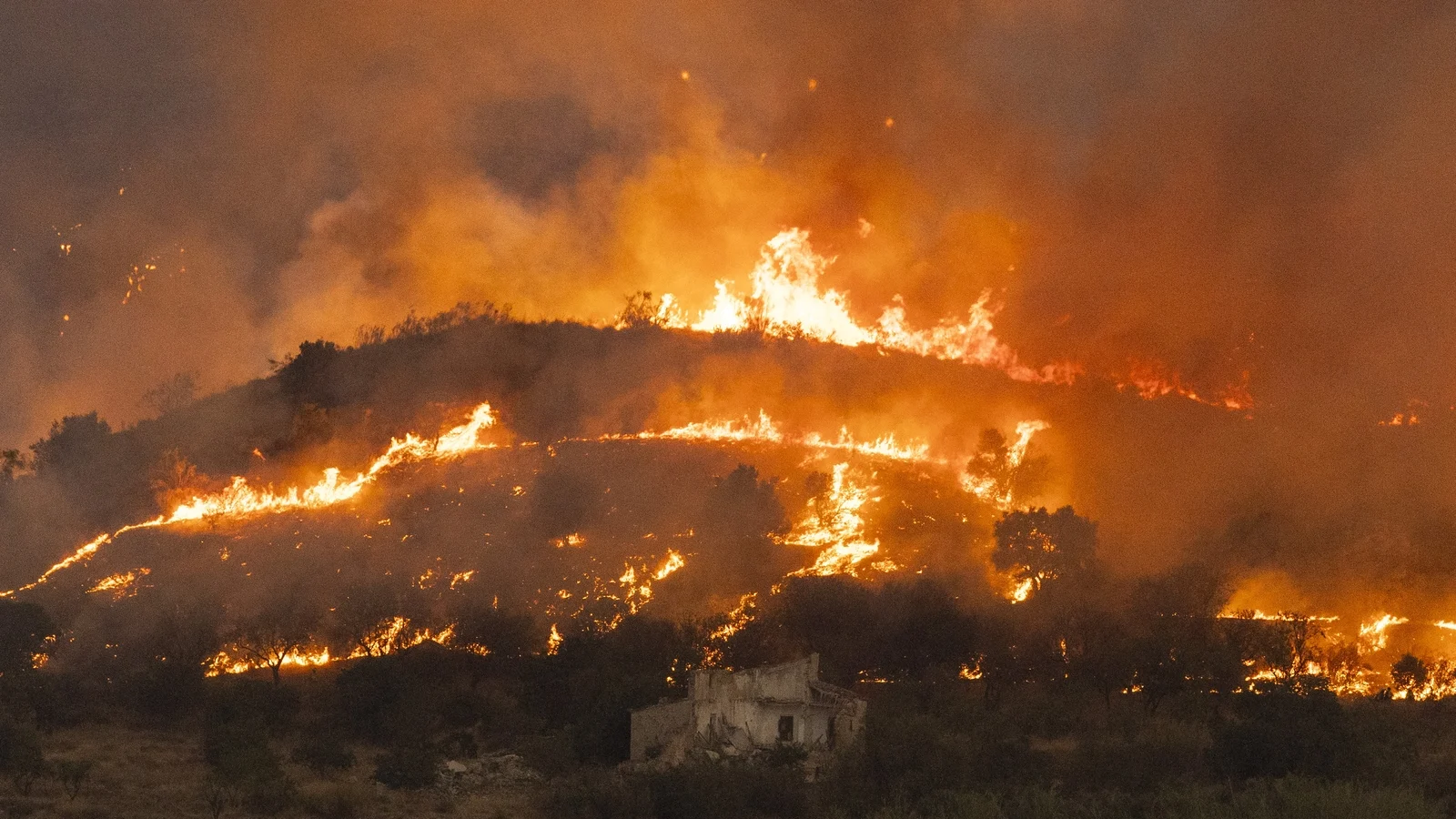 Govt urged to lead on climate during EU Presidency