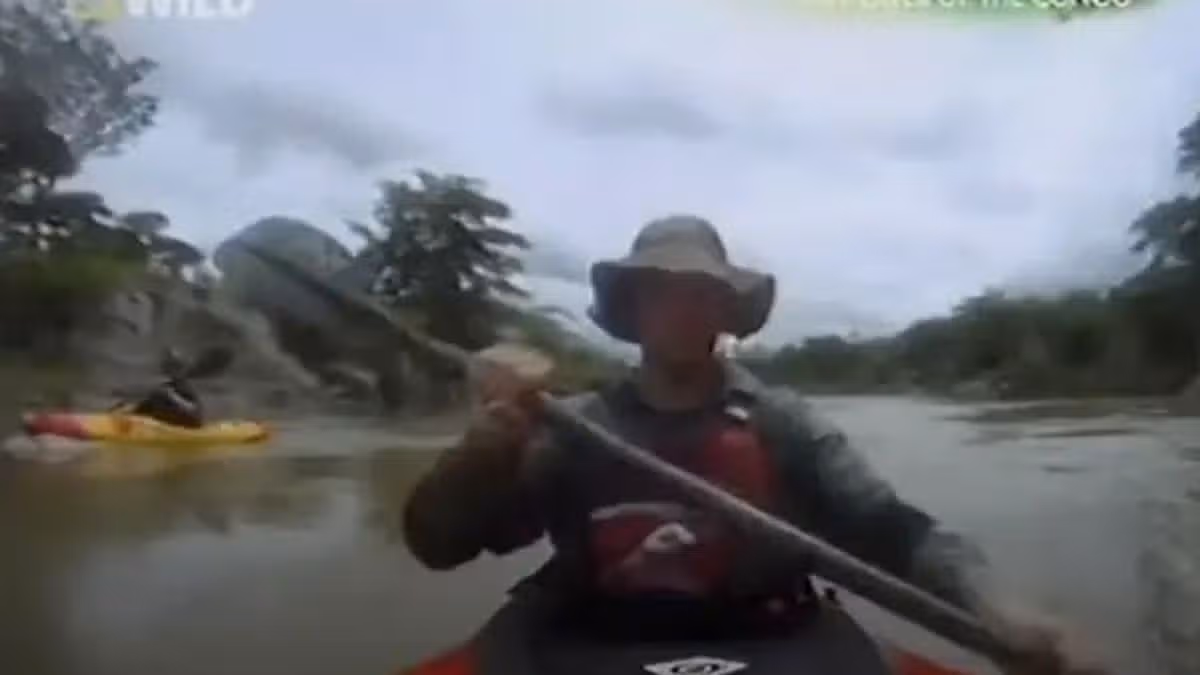 Kayaker Hendri Coetzee Killed by Crocodile