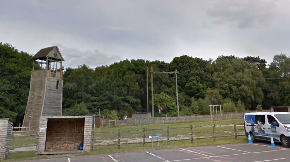Children injured in Surrey tree collapse at PGL