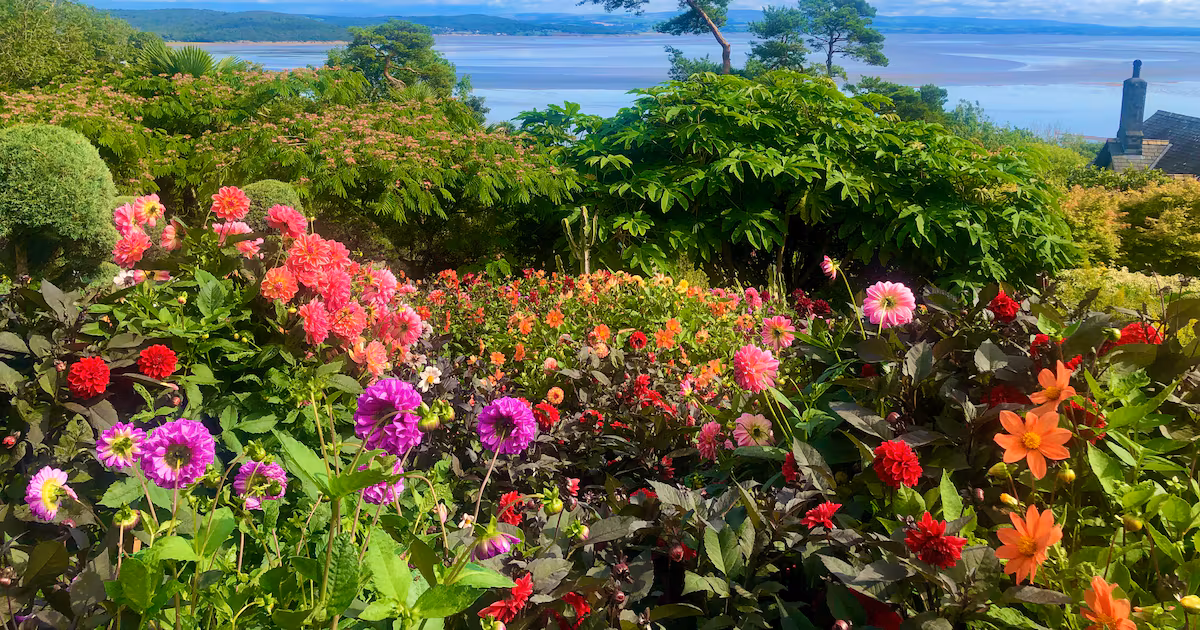 UK Coastal Gardens Offer Summer Exploration