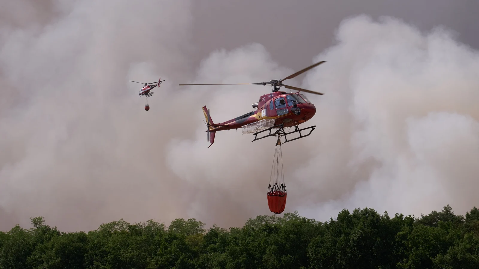 Fires Advance in Forest South of Paris