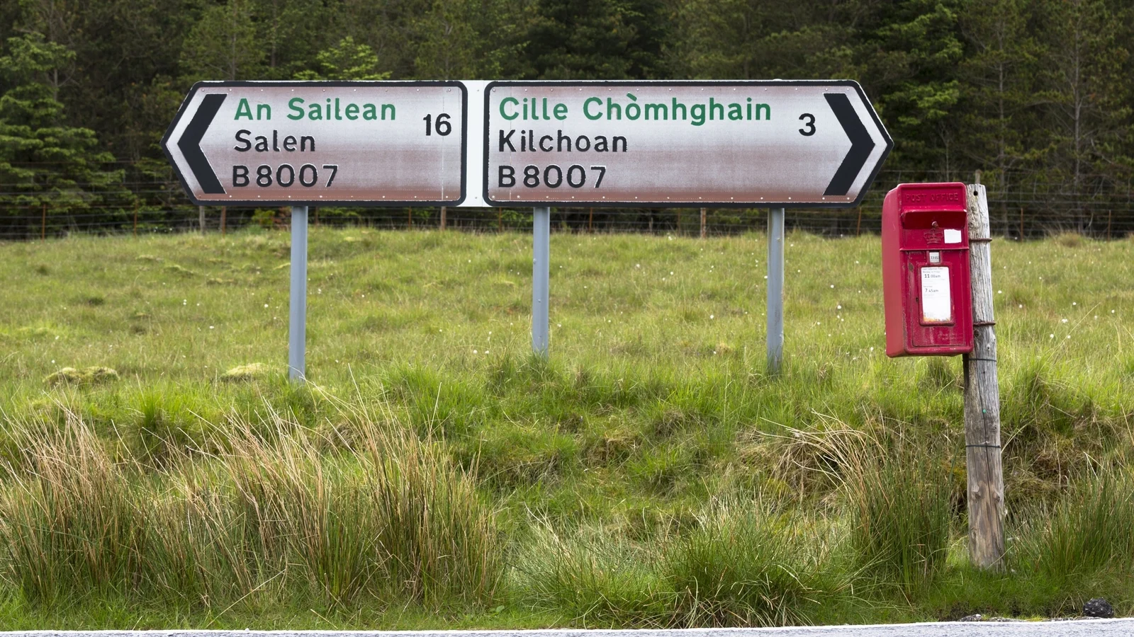 Reform UK Accused of Anti-Scottish Bias