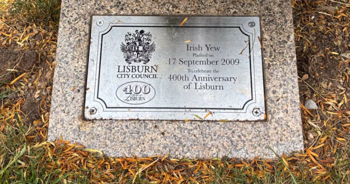 Lisburn Removes Prince Andrew Plaque from Anniversary Tree