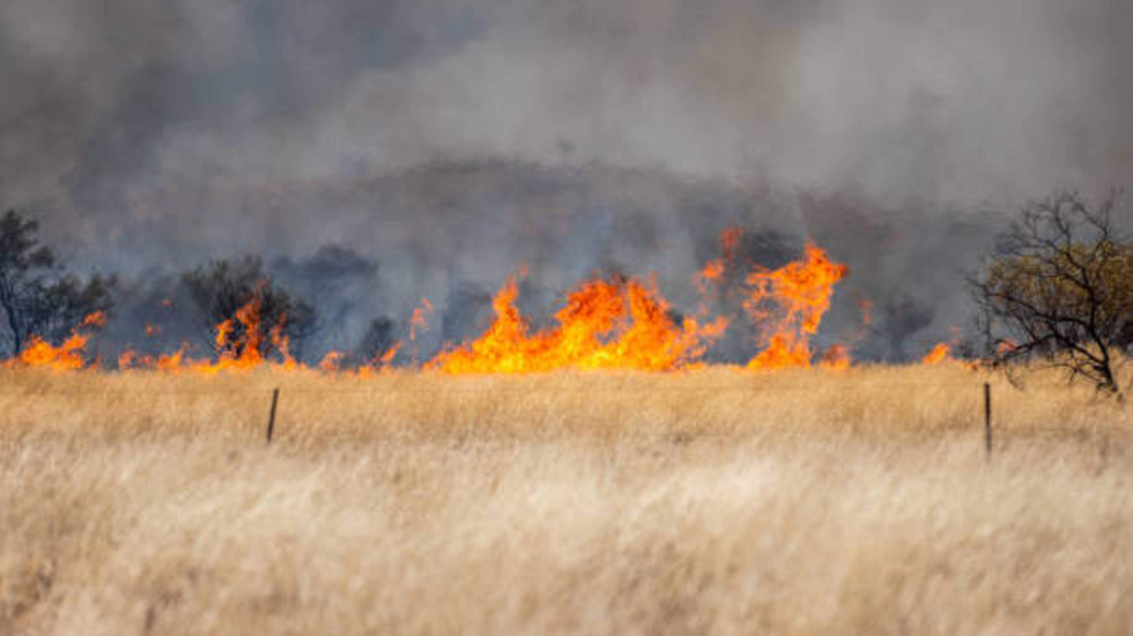 Laois Issues Orange Forest Fire Warning