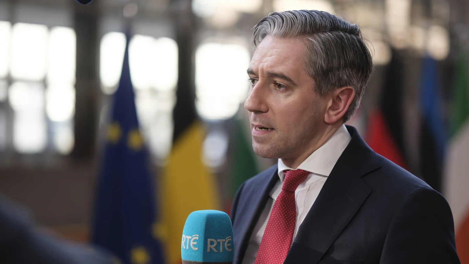 Tánaiste to Address EU Parliament Committee