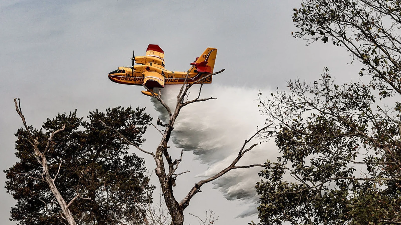 French firefighter arrested for forest fire