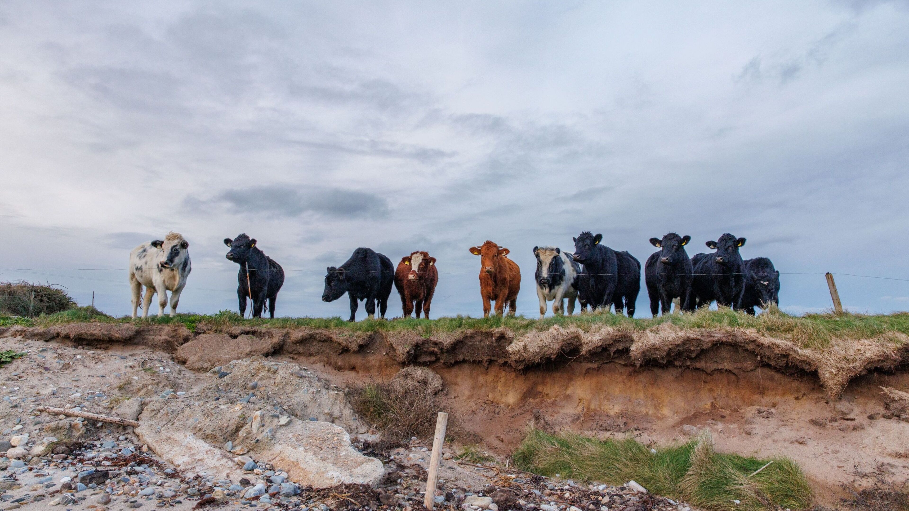 Coastal Erosion Issues in County Wexford