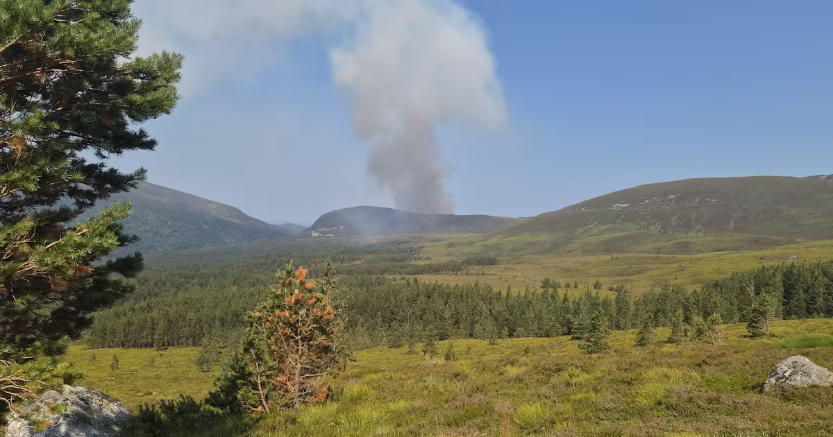 Firefighters Battle Cairngorms Wildfire Overnight
