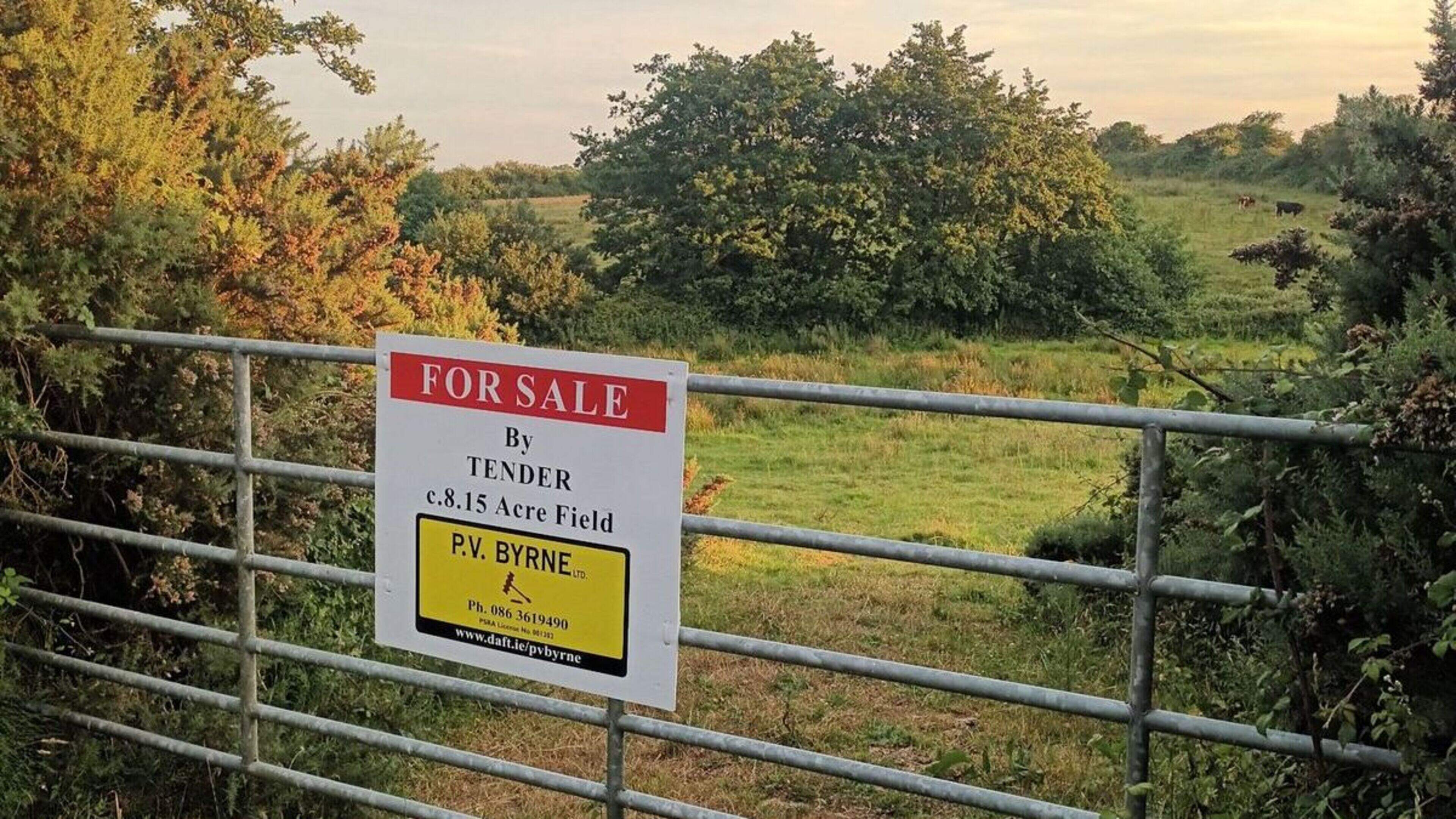 Agricultural Land for Sale in County Wicklow