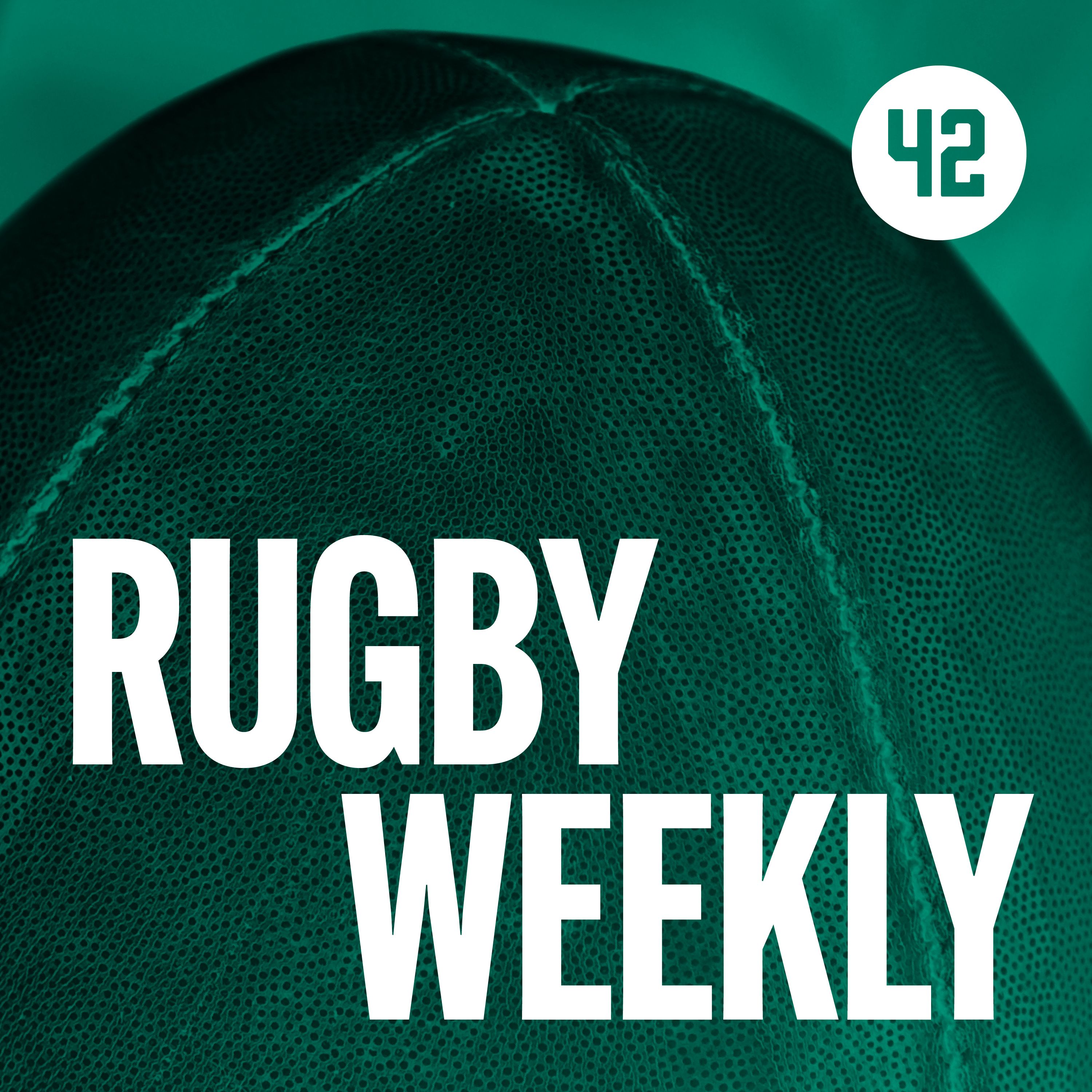 Ireland v New Zealand Rugby Match Preview