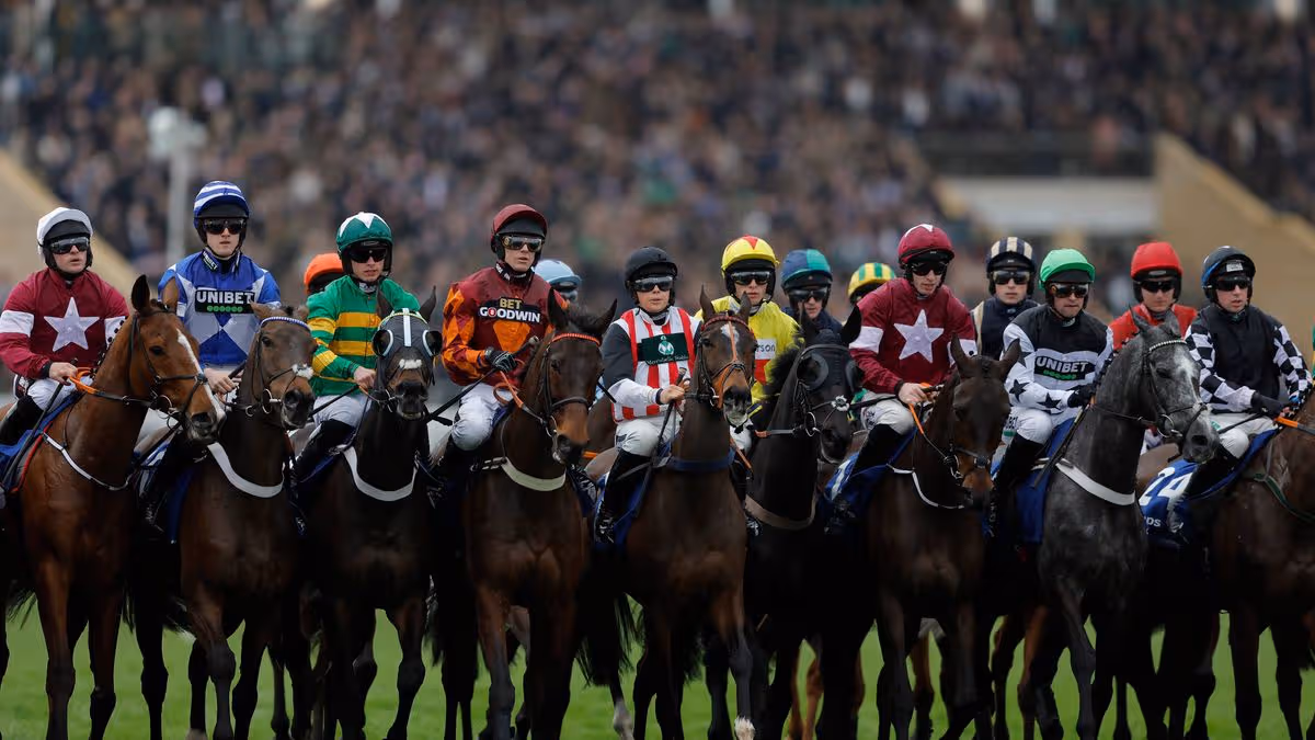 BHA Reviews False Start Issues at Cheltenham Festival