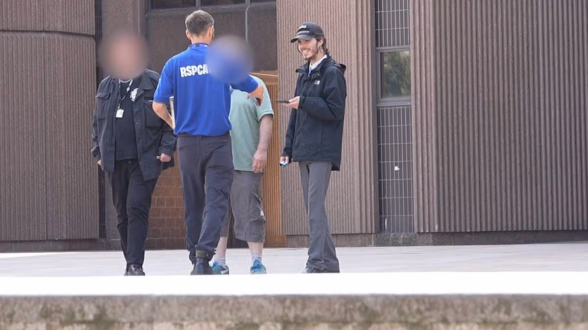 Man Avoids Jail for Killing French Bulldog