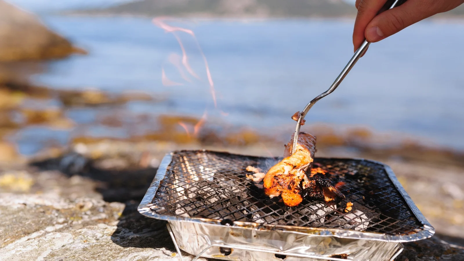 Call for Ban on Disposable Barbecues