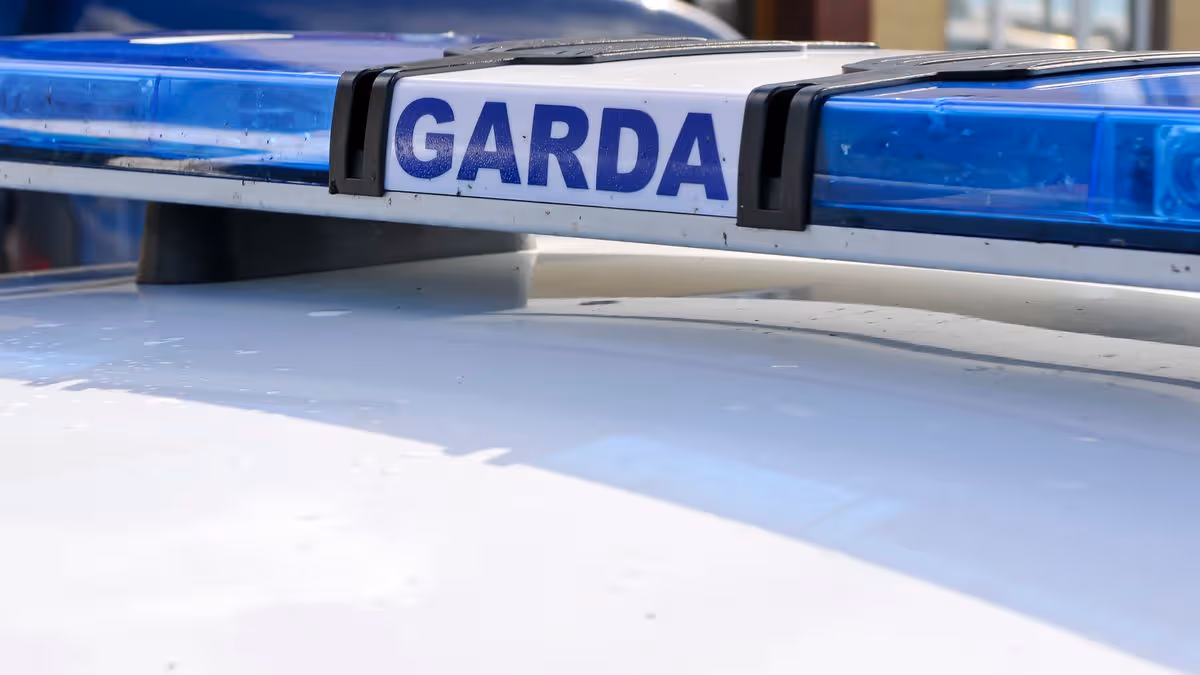Two pensioners killed in Louth road crash