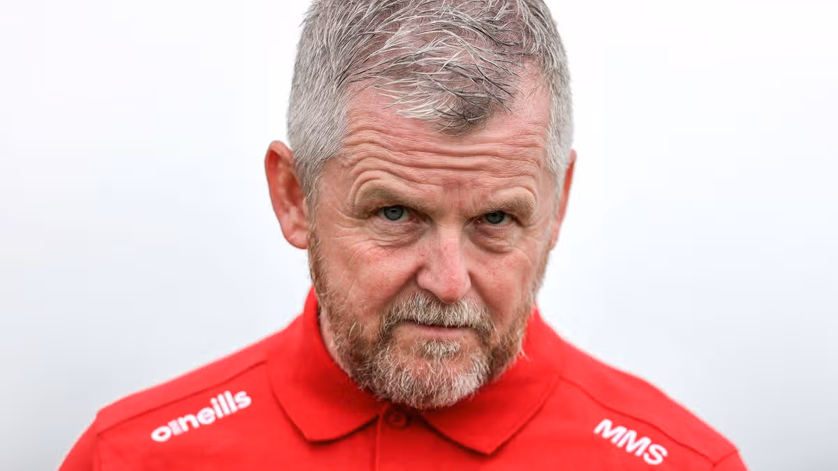 Antrim appoints Michael McShane as hurling manager