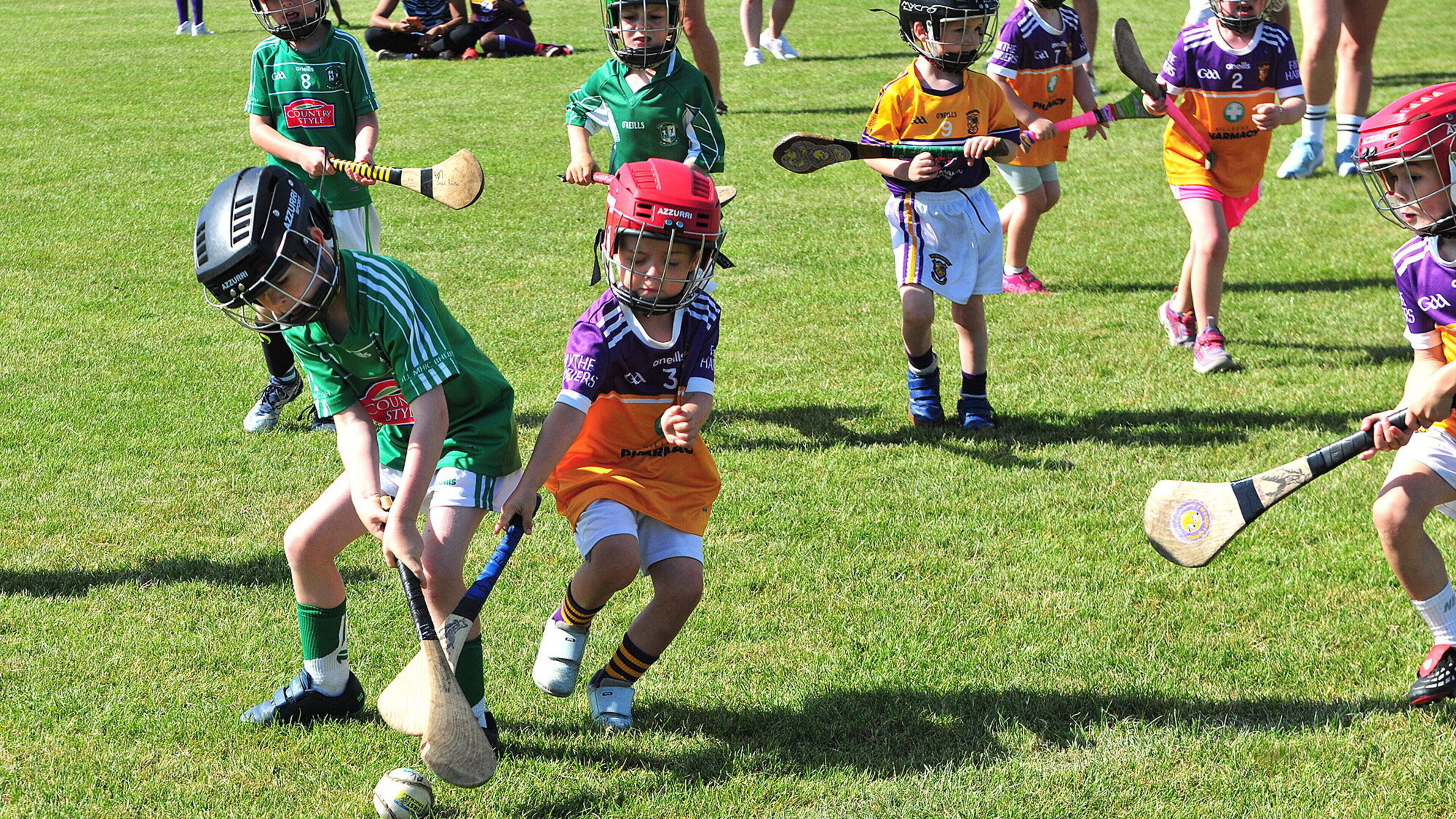 Rathgarogue GAA Club Hosts Successful U6/U7 Blitz