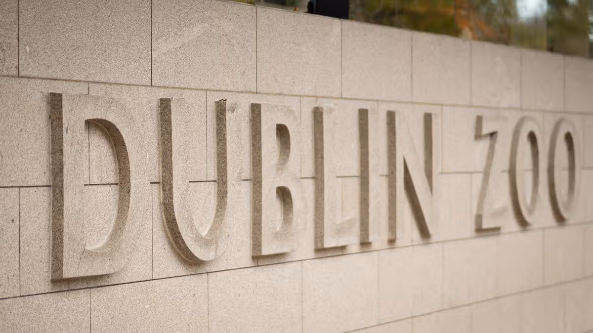 Dublin Zoo Offers Half-Price Tickets for GAA Fans