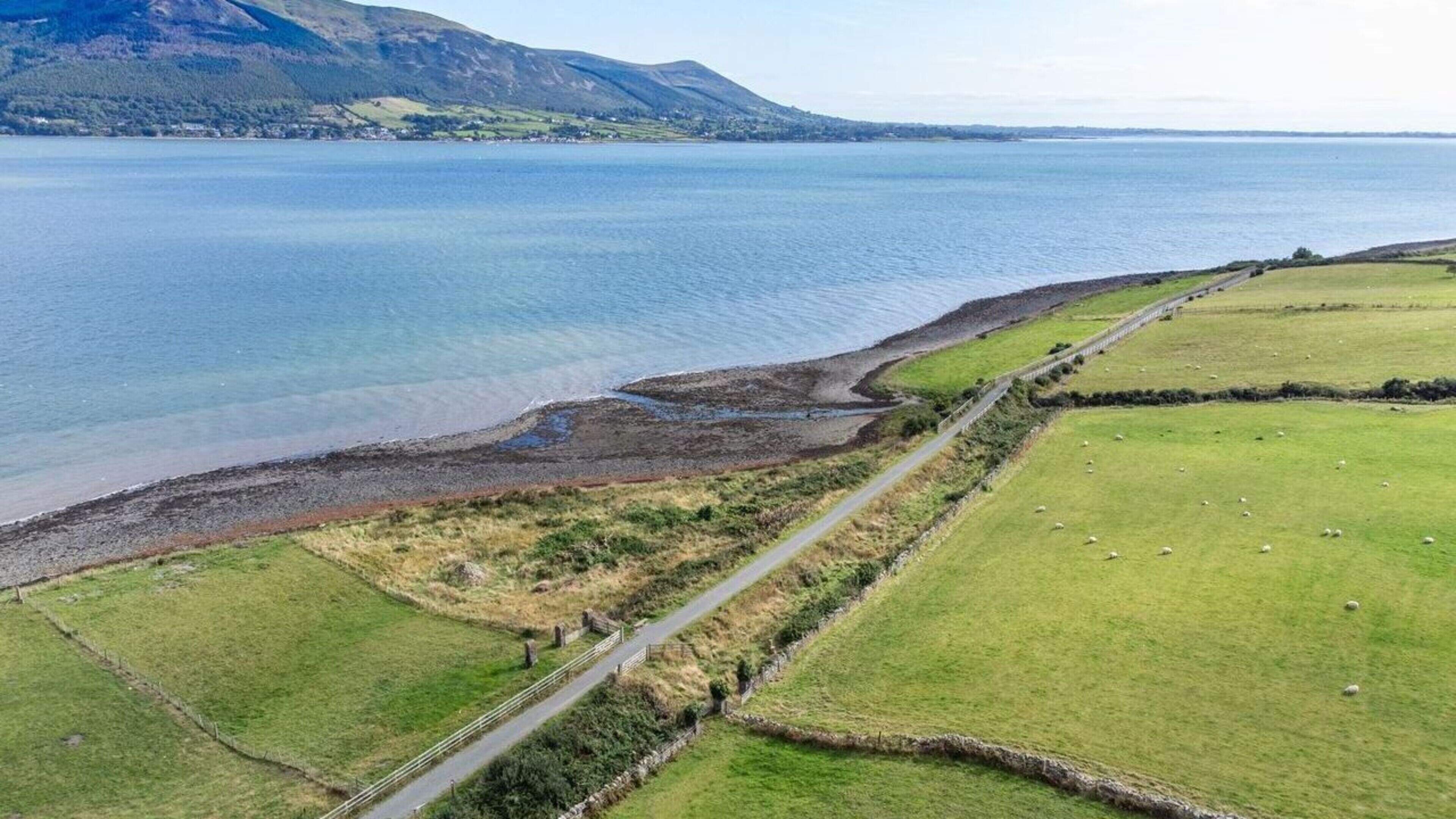 Gates on Greenway Cause Safety Concerns for Sheep