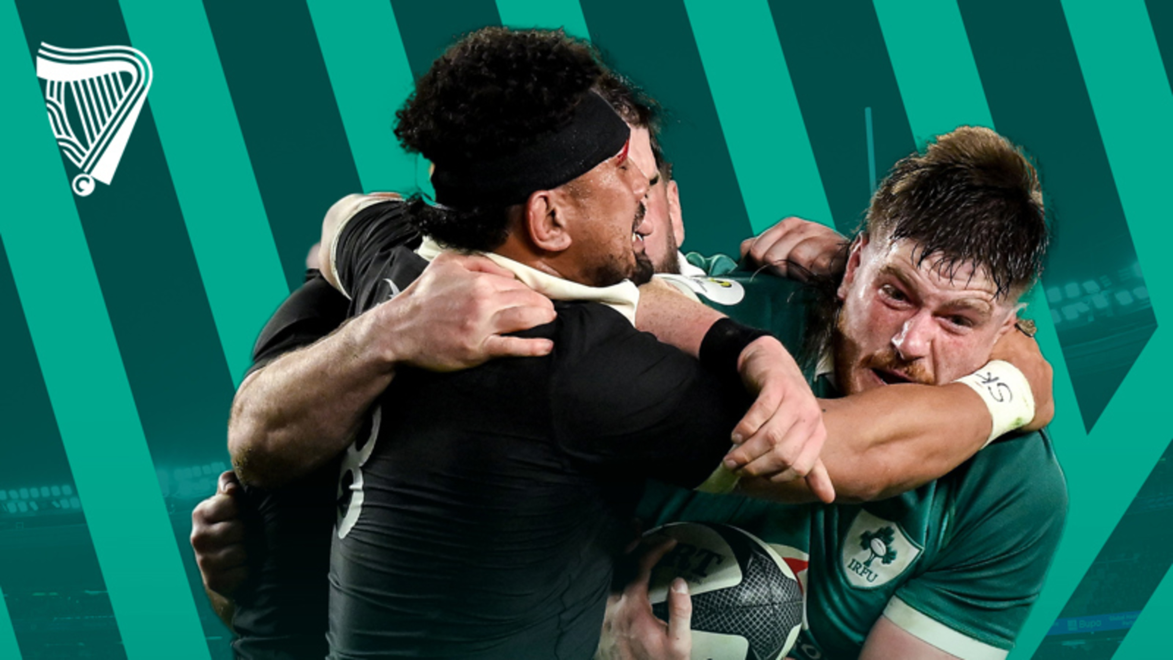 Ireland Defeated by All Blacks at Eden Park