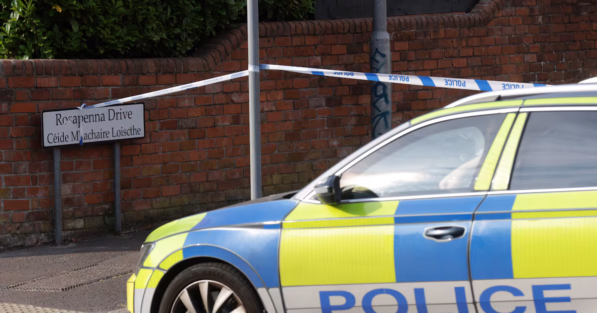 Man released on bail after Belfast security alert