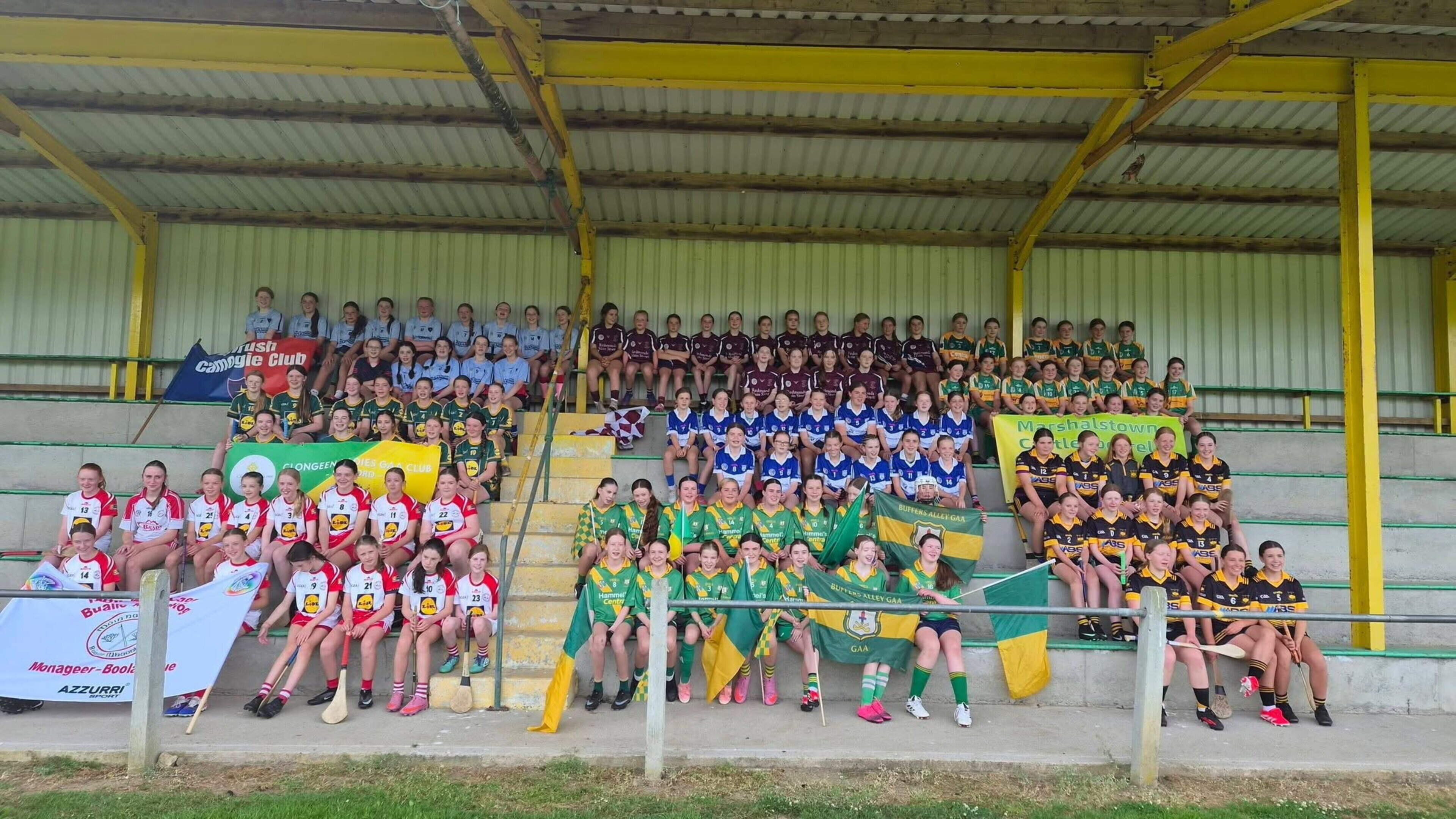 Camogie Tournament Honors Claire Roche