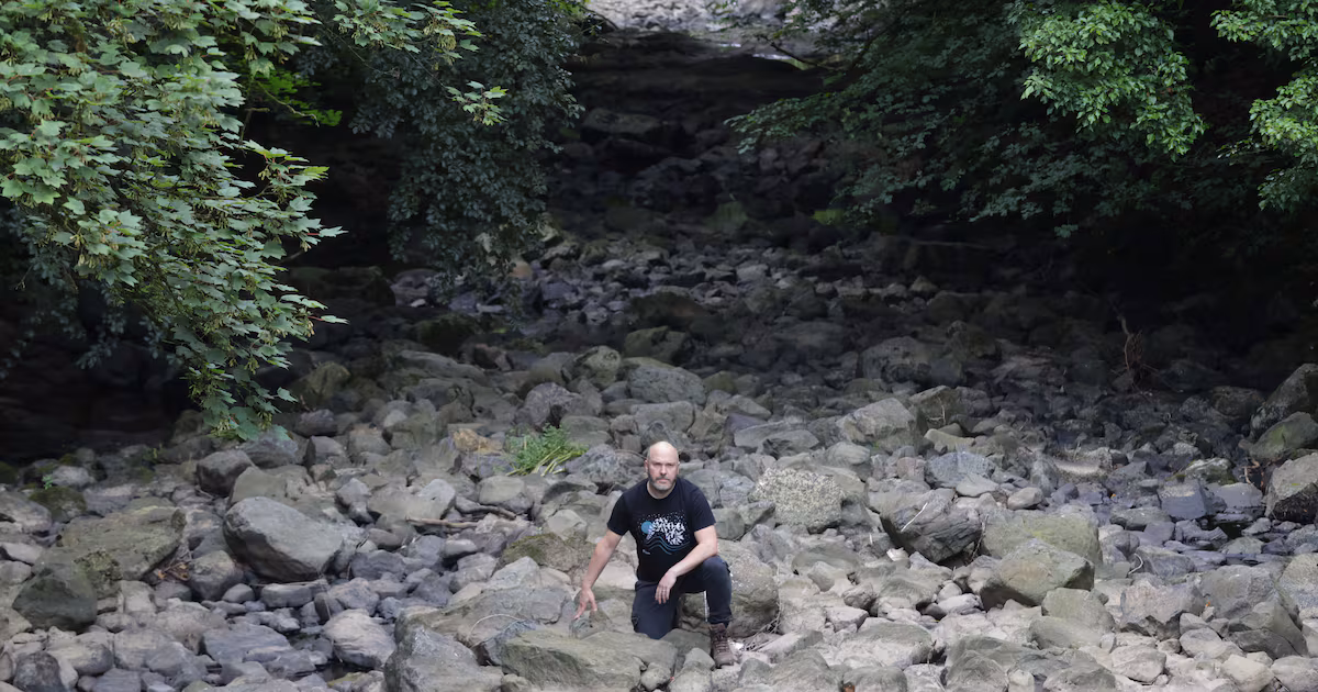 Crumlin River Faces Ecological Crisis in Co Antrim