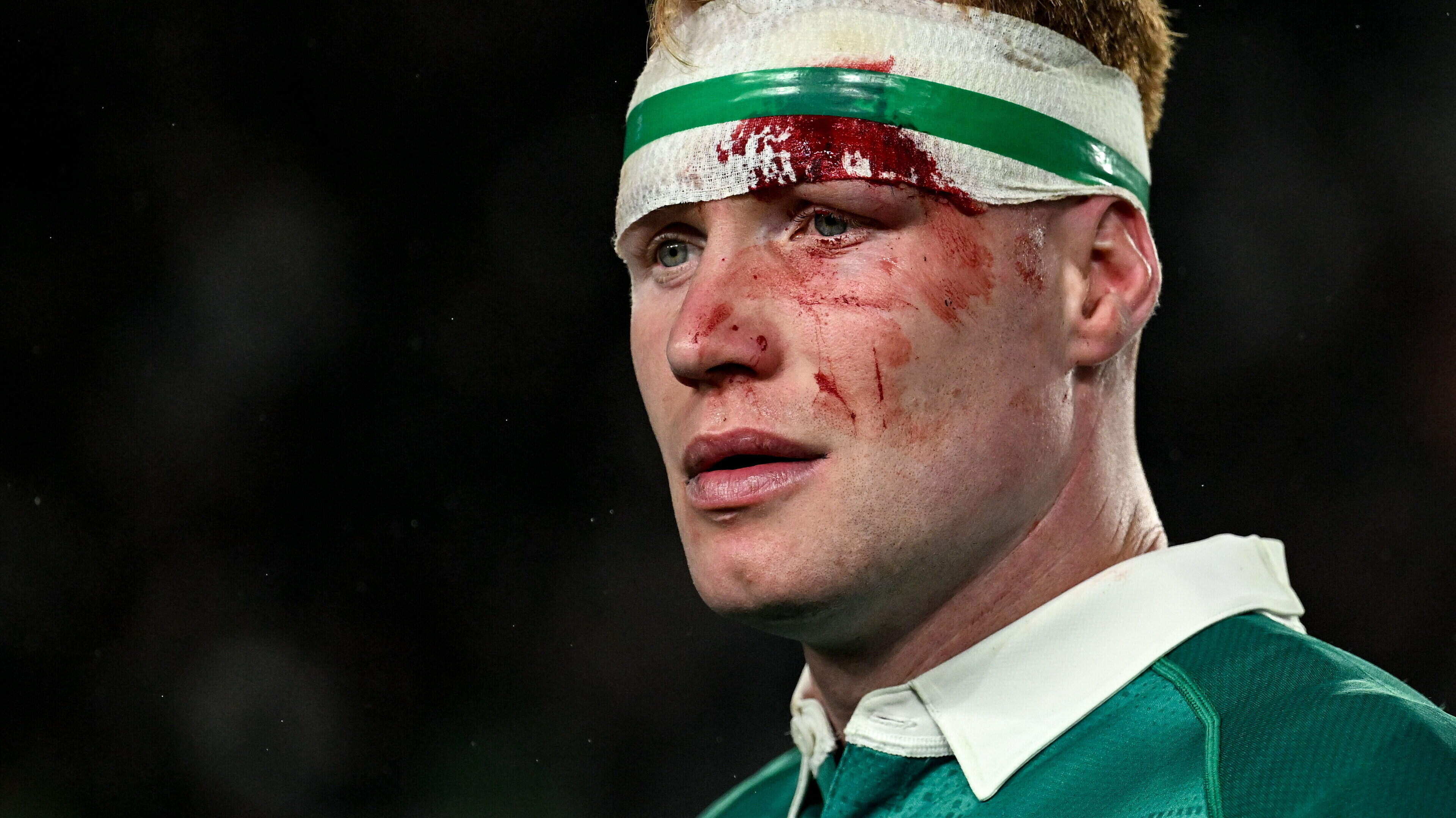 Ireland Rugby Team Defeated by New Zealand