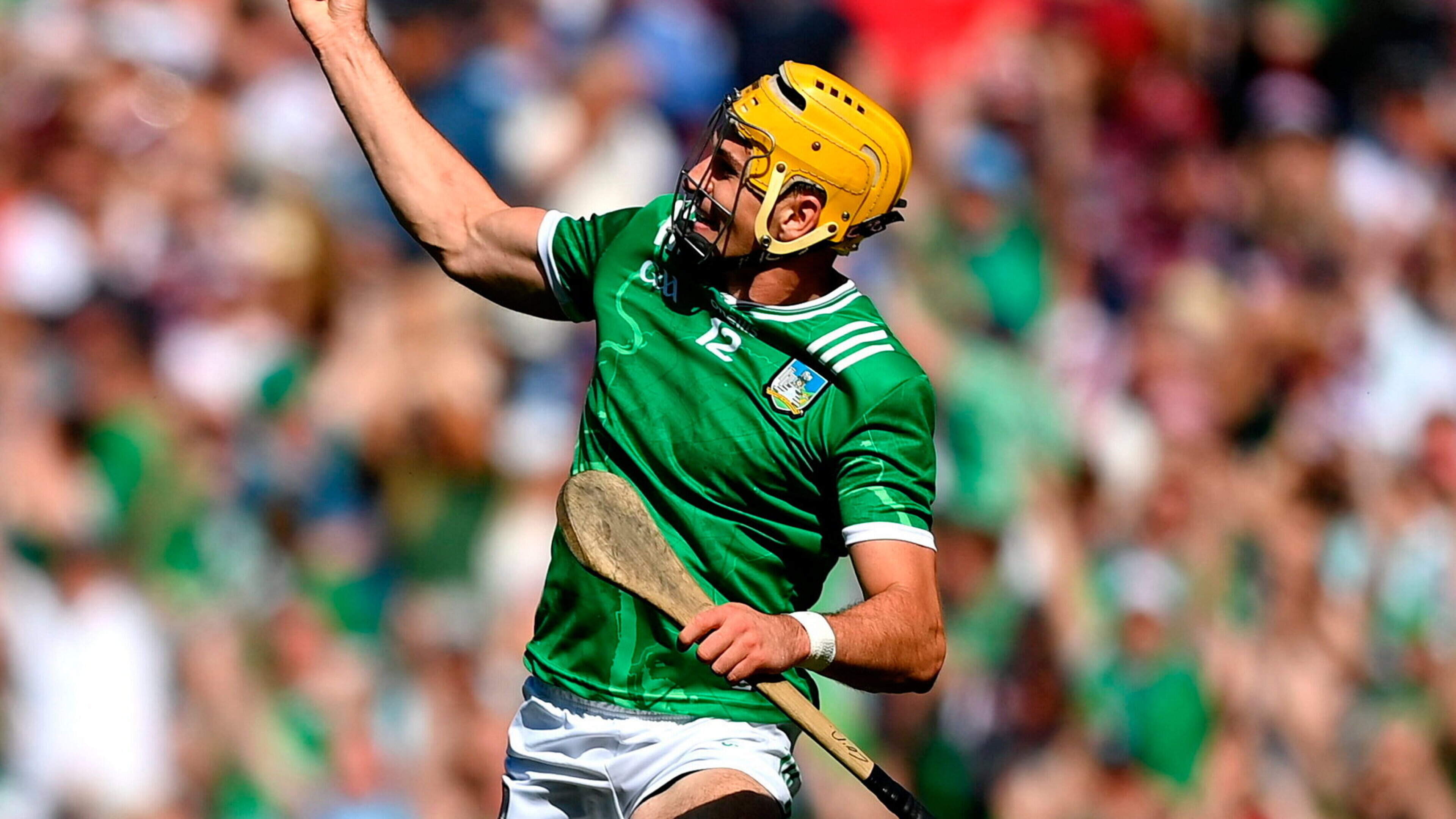 Limerick Wins All-Ireland Hurling Final Against Galway
