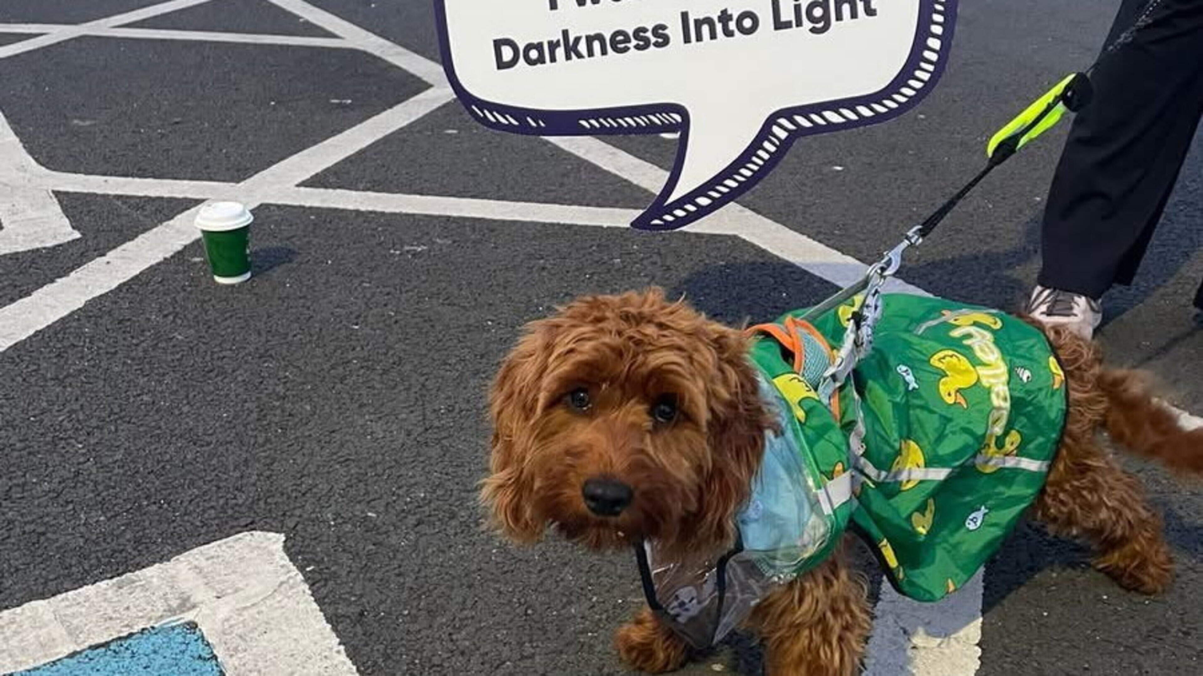 Wexford Group Raises €17,777 for Mental Health