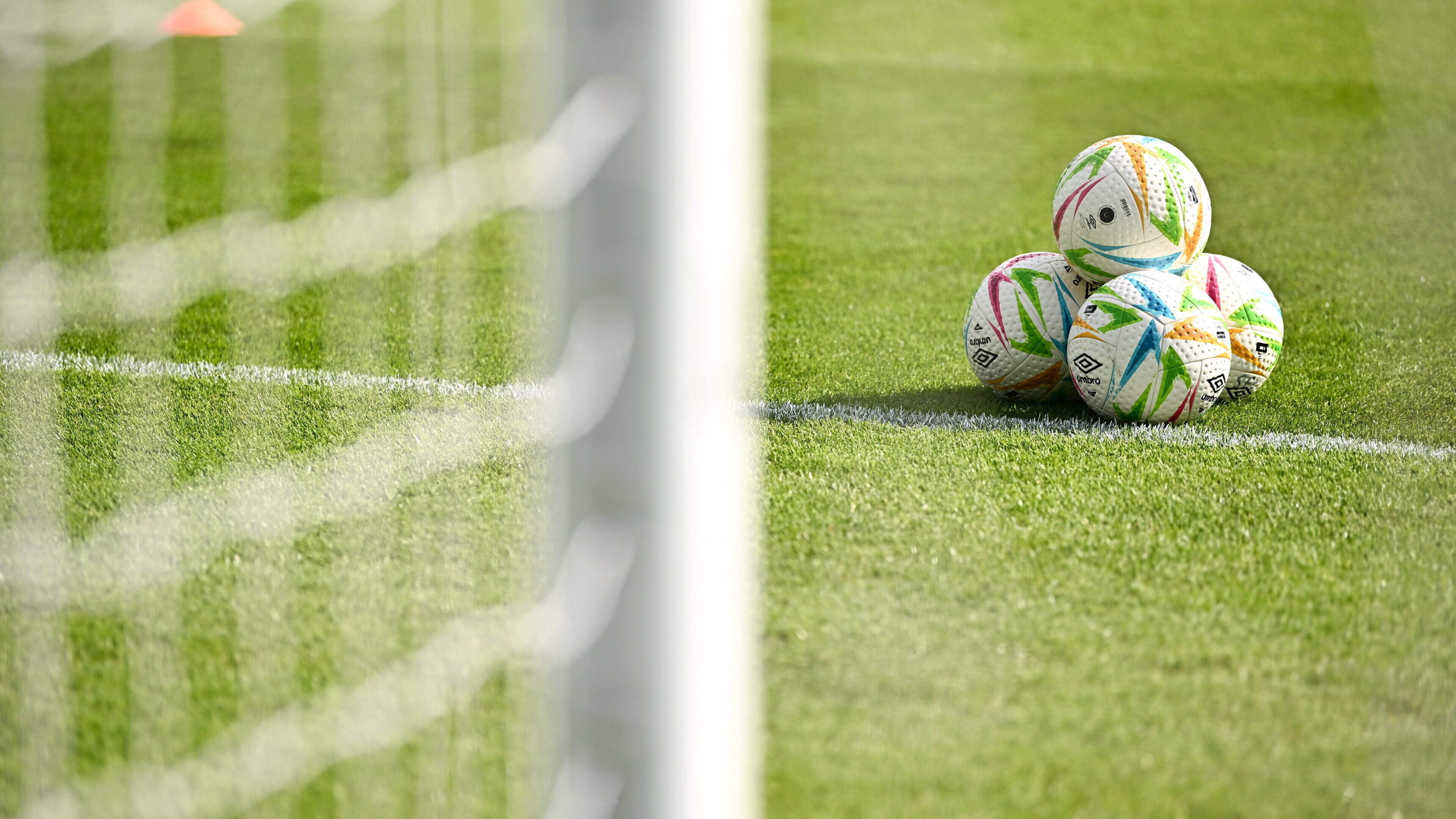 Ballywaltrim sports masterplan faces funding delays