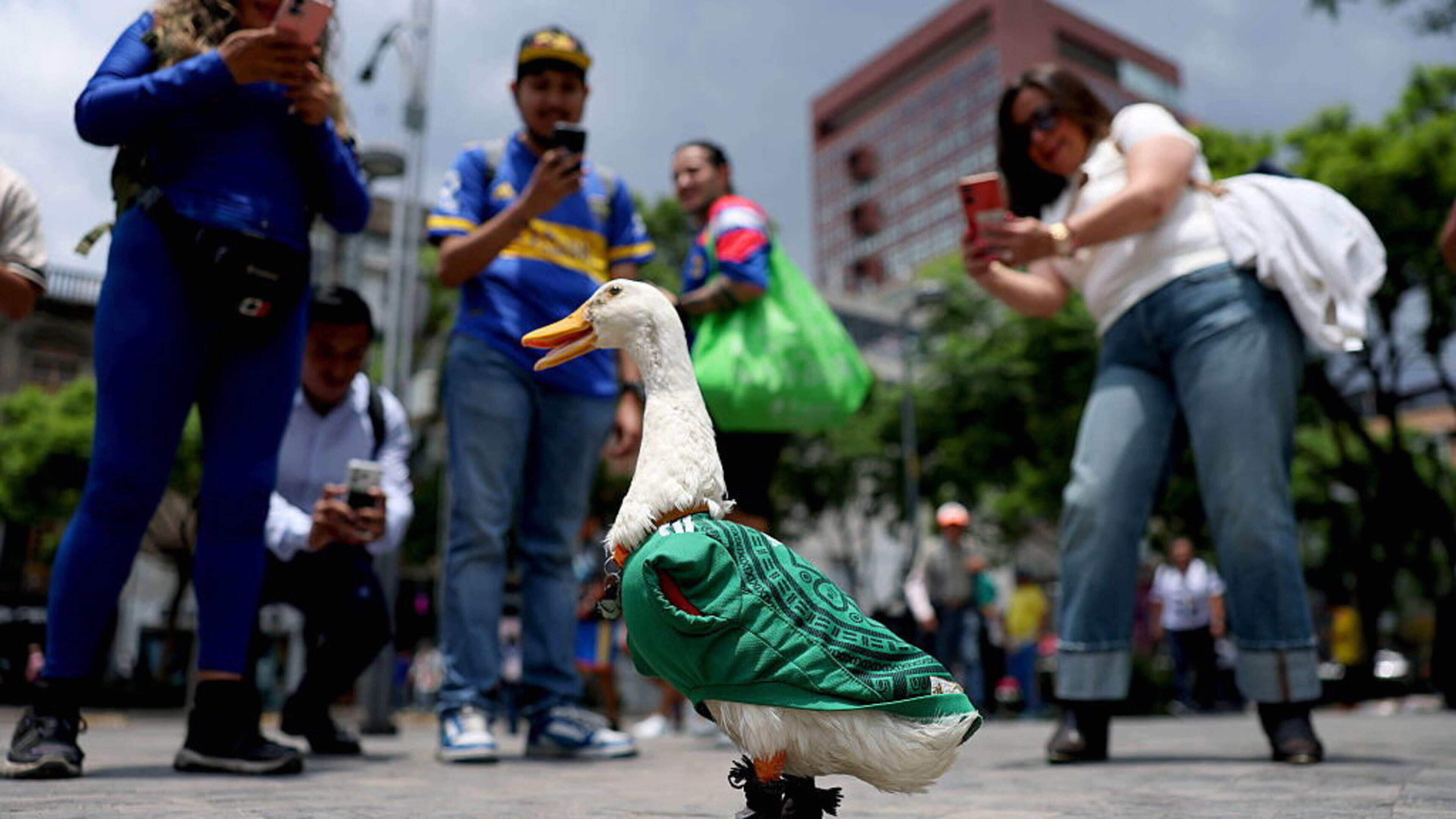 2026 World Cup Highlights and Reactions