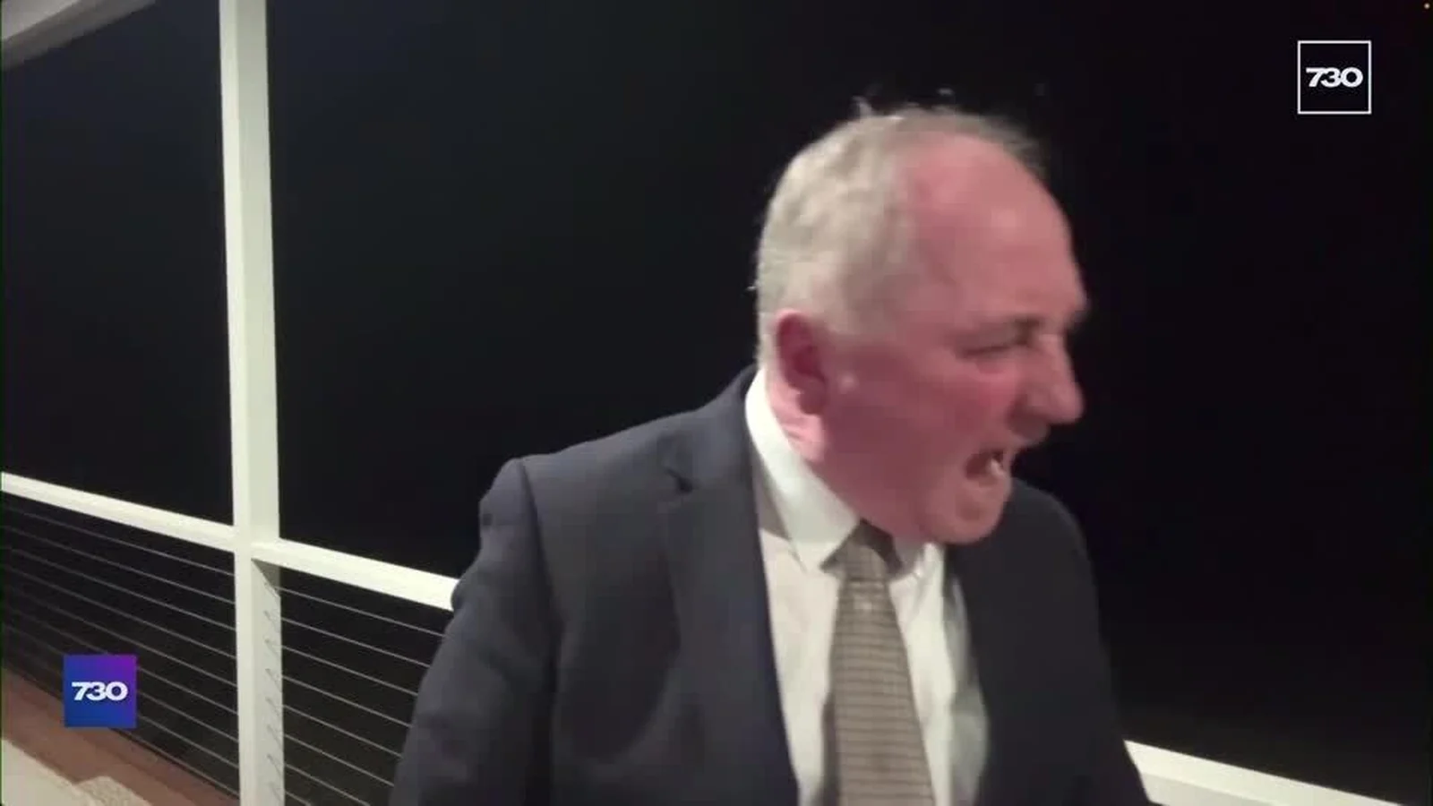 Australian Politician Berates Dog on Live TV