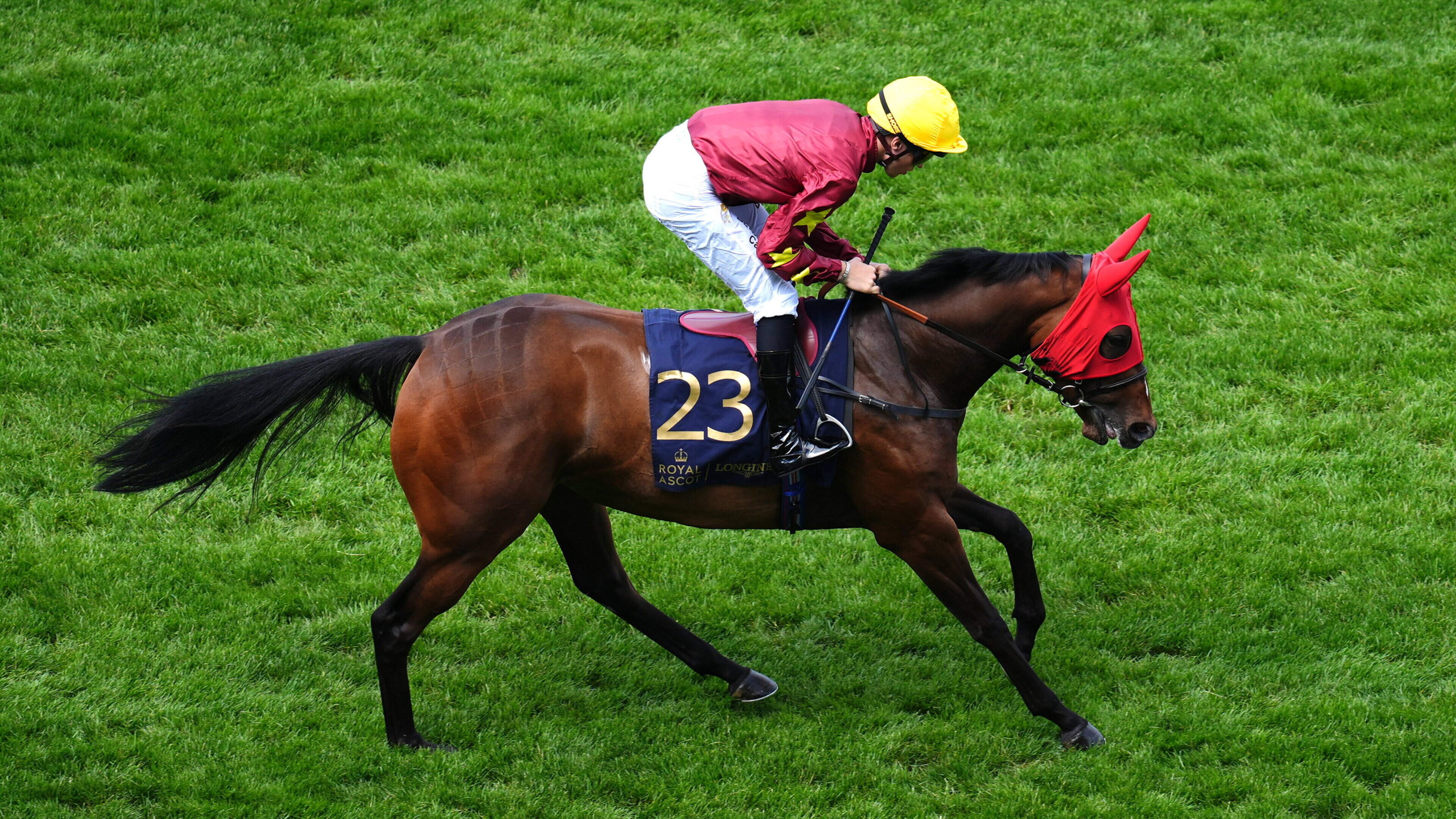 Eustace Optimistic About Shimmering Sun's Stakes Performance