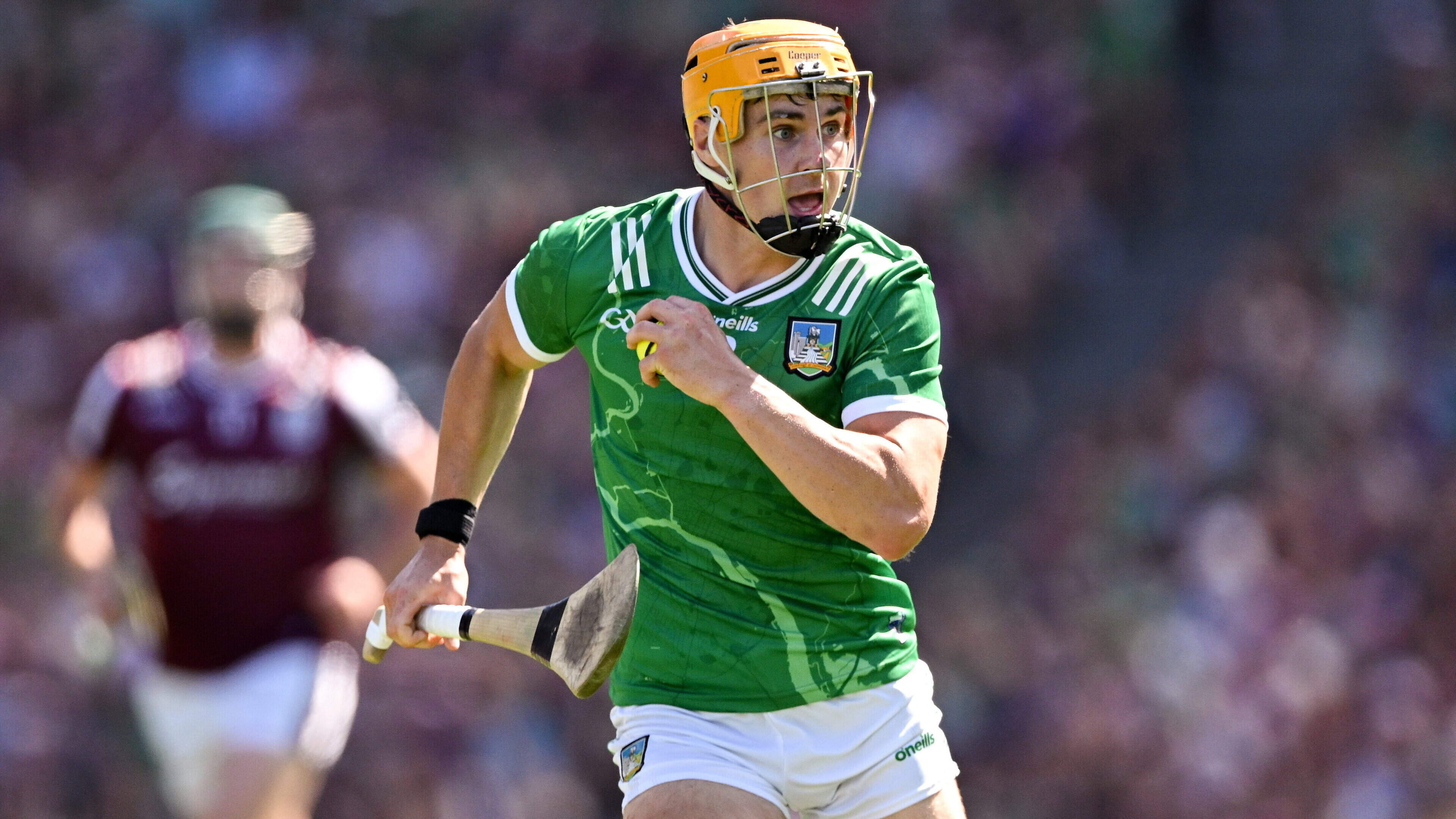 Indo GAA Announces Hurling Team of the Year