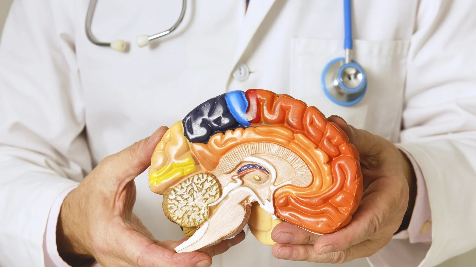 Experts Call for European Neurological Strategy