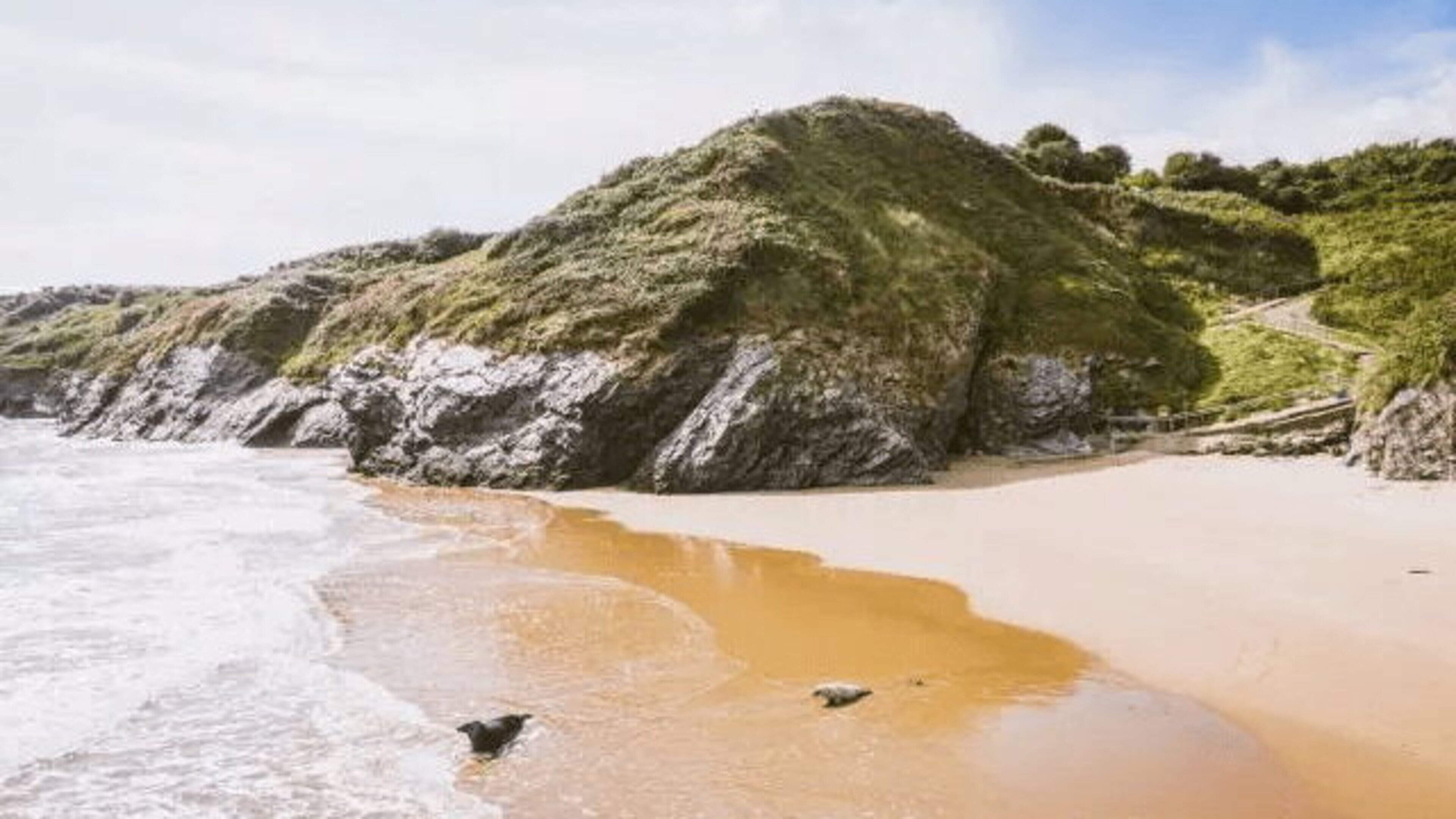 Woman Drowns at Blainroe Beach in Wicklow