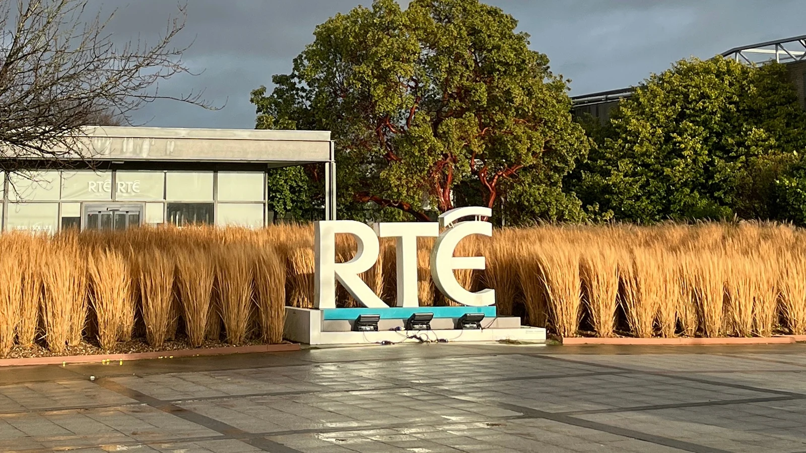 RTÉ Reports Top Earners and Financial Surplus