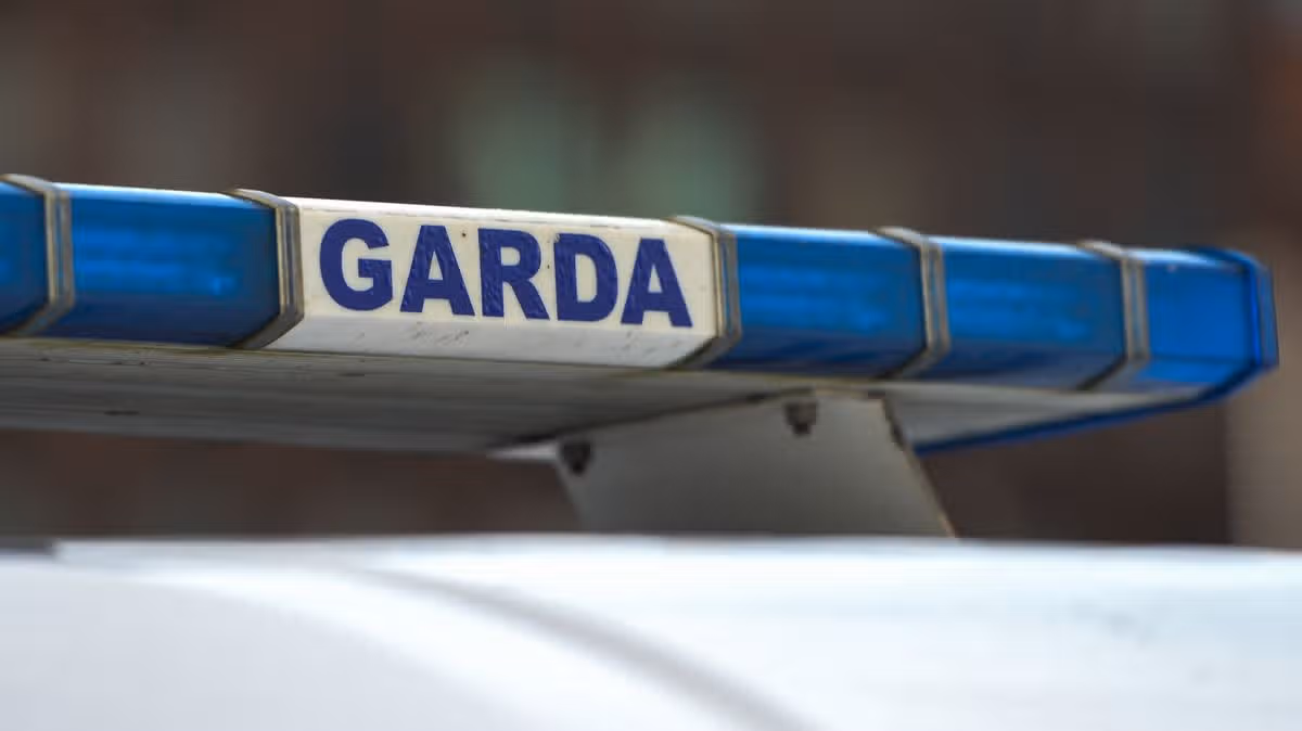 Pedestrian dies after van collision in Kilkenny