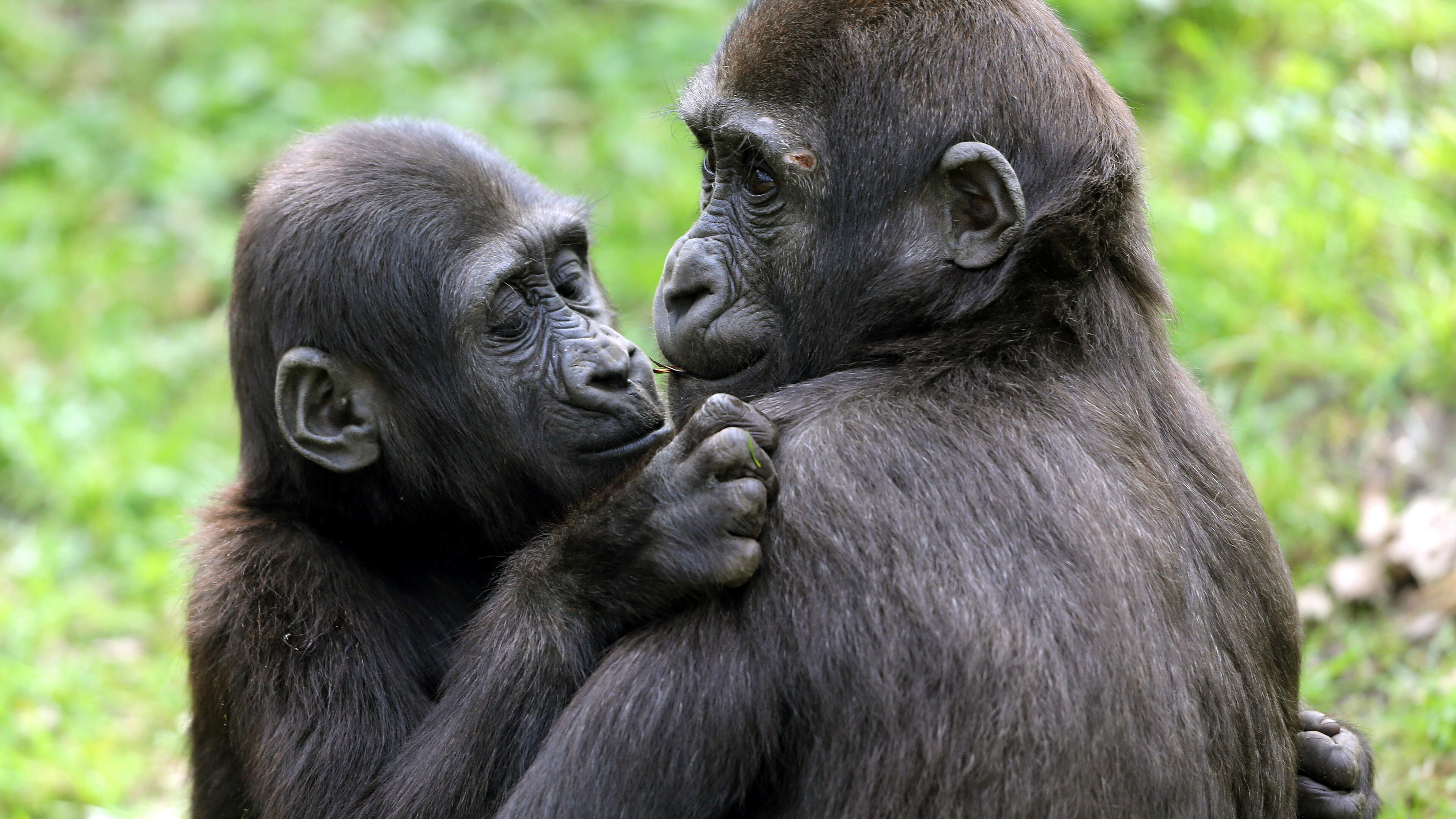 Study Links Physical Touch to Reduced Conflict