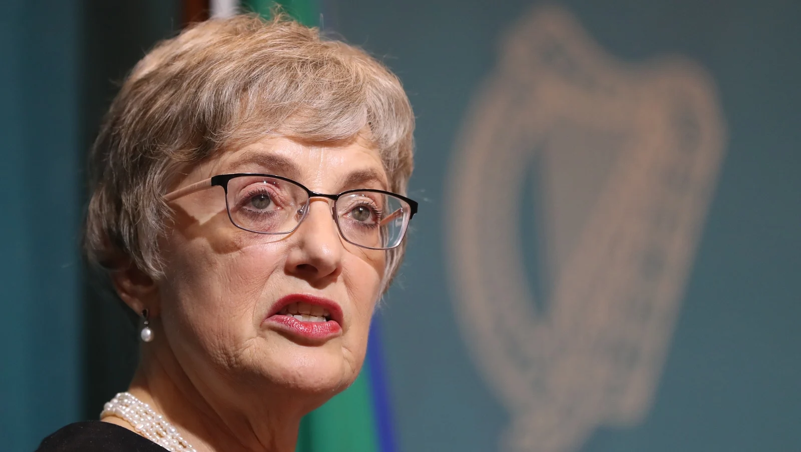 Zappone Raises Concerns Over Bessborough Site