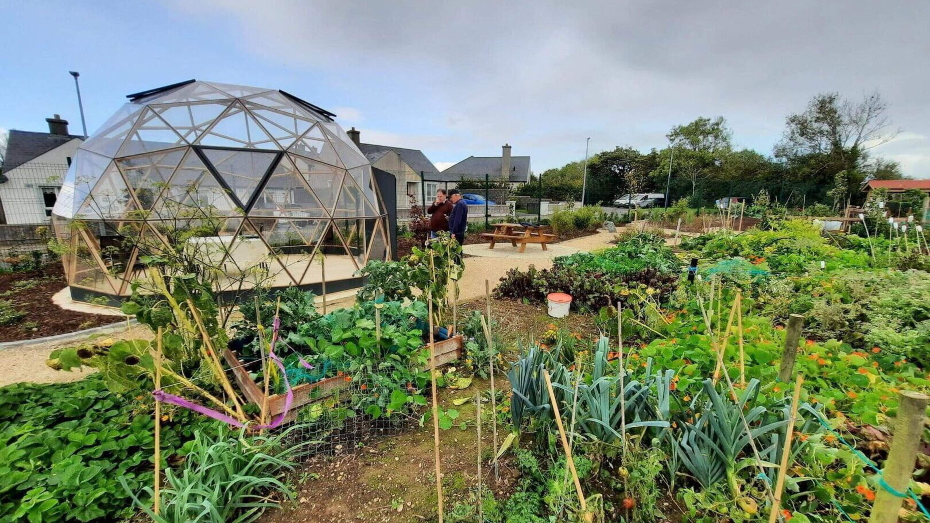 Enniscorthy Allotments Shortlisted for National Award