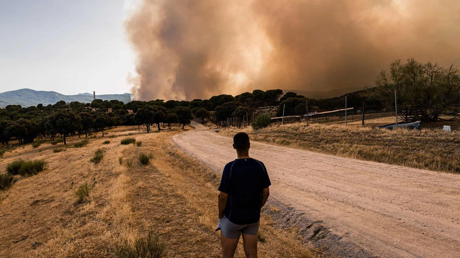 Emergency declared in Madrid due to wildfires