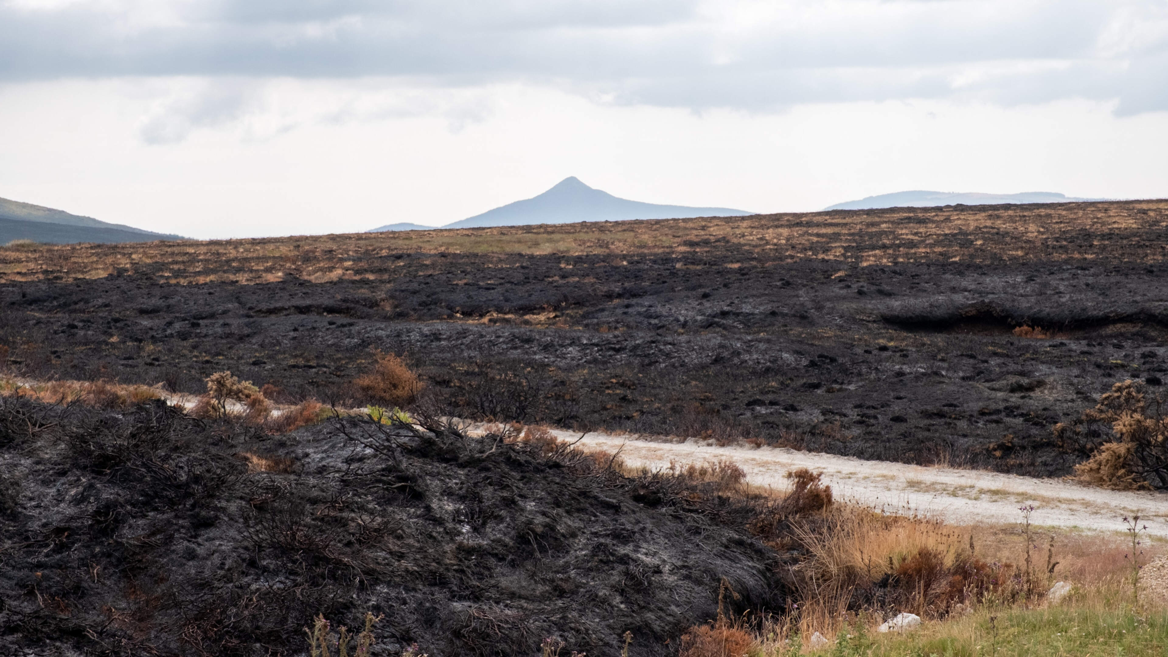 Wicklow Mountains Wildfire Continues to Smolder