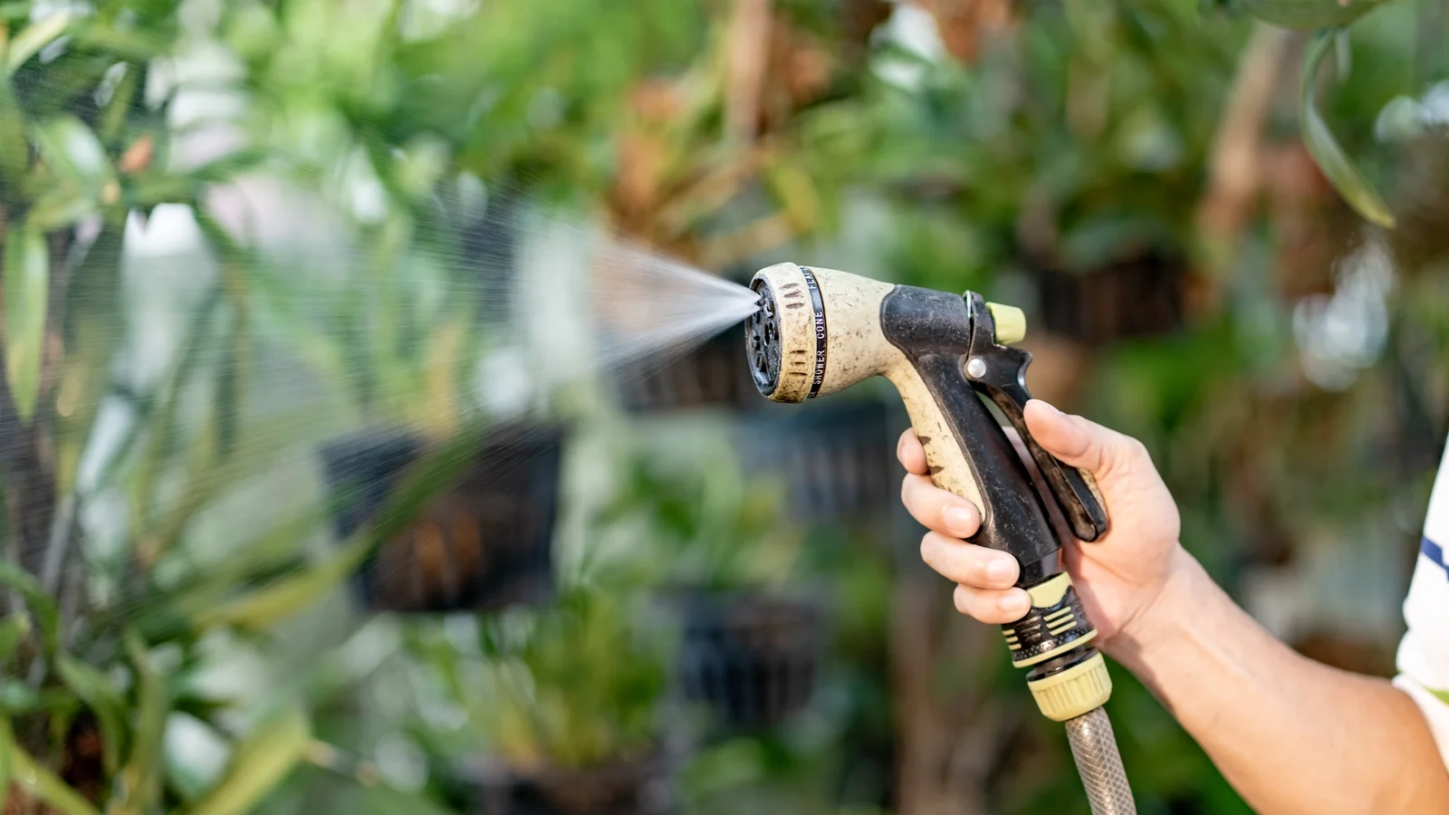 Nationwide Hosepipe Ban Enforced for Six Weeks