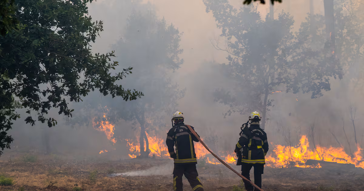 200,000 Evacuated Due to Wildfires in Europe