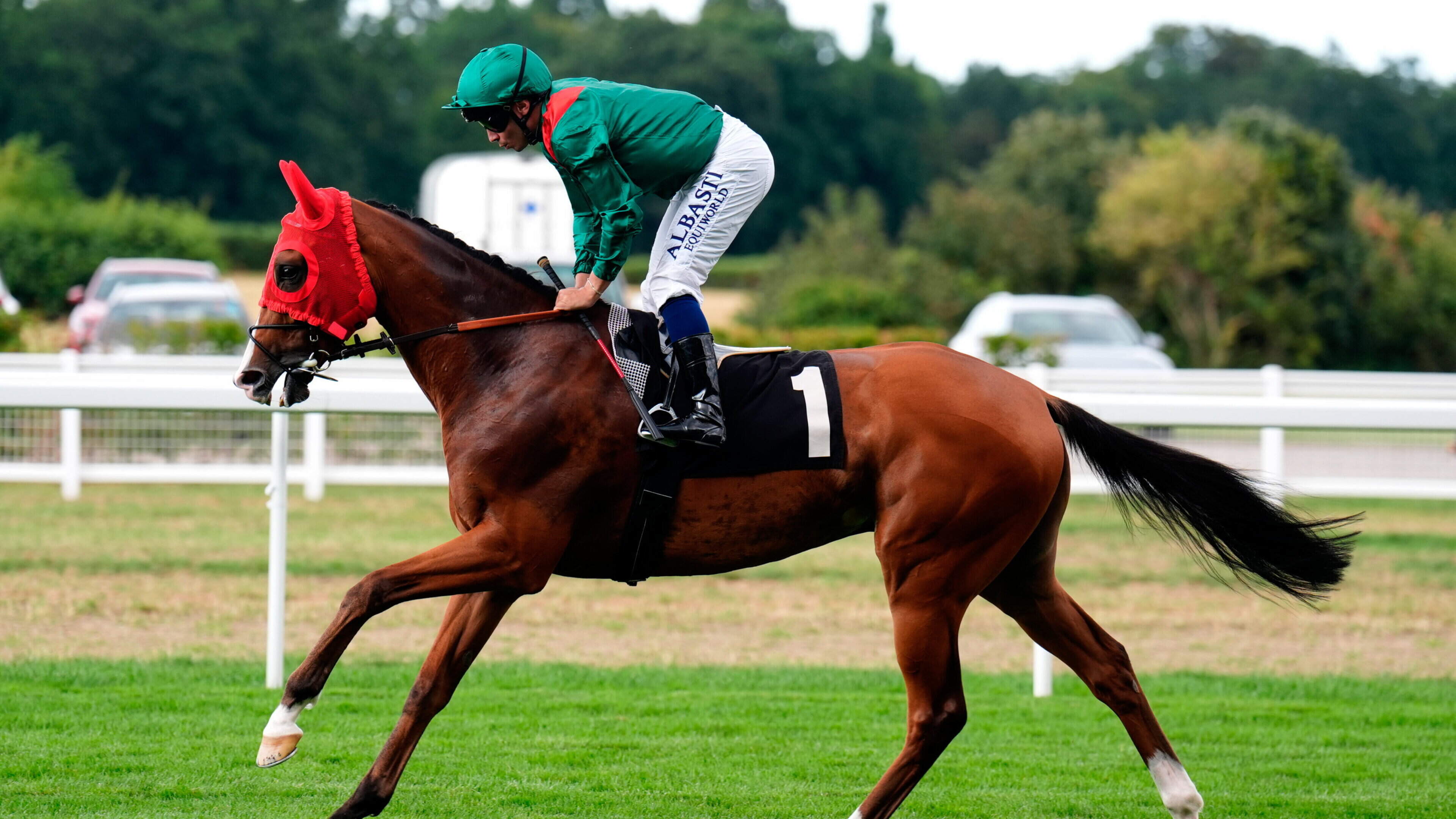 Wayne Bailey on Calandagan's Ascot Potential