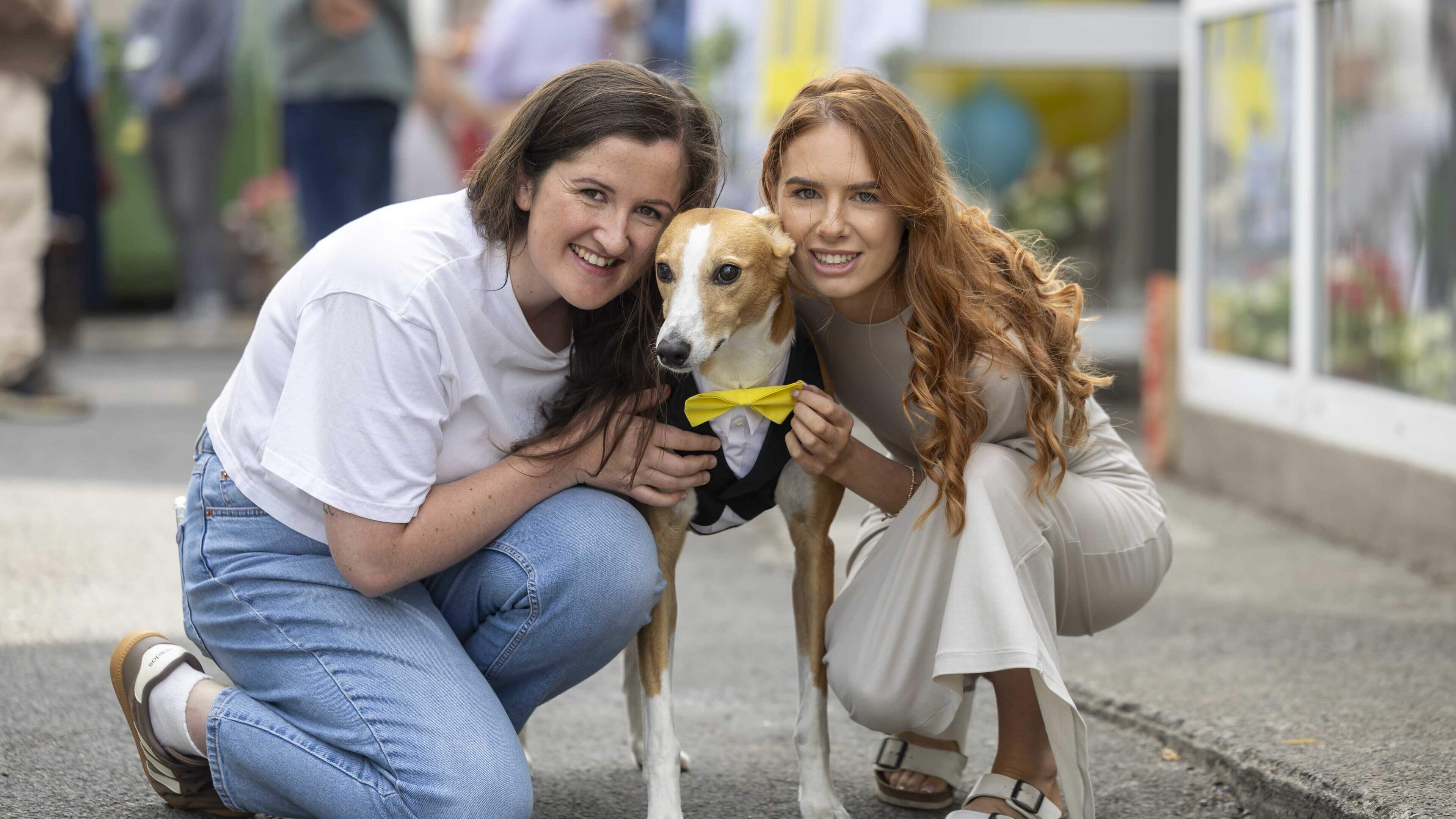 Rescue Dog Aids Homeless Individuals in Tipperary