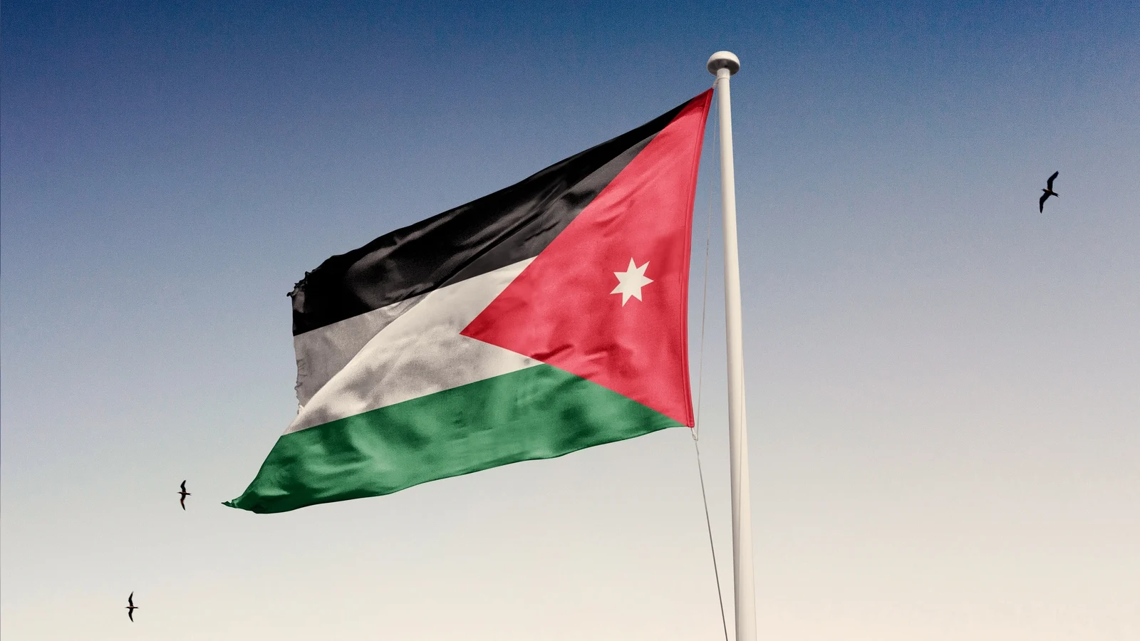 Jordanian Asylum Seekers in Ireland Surge